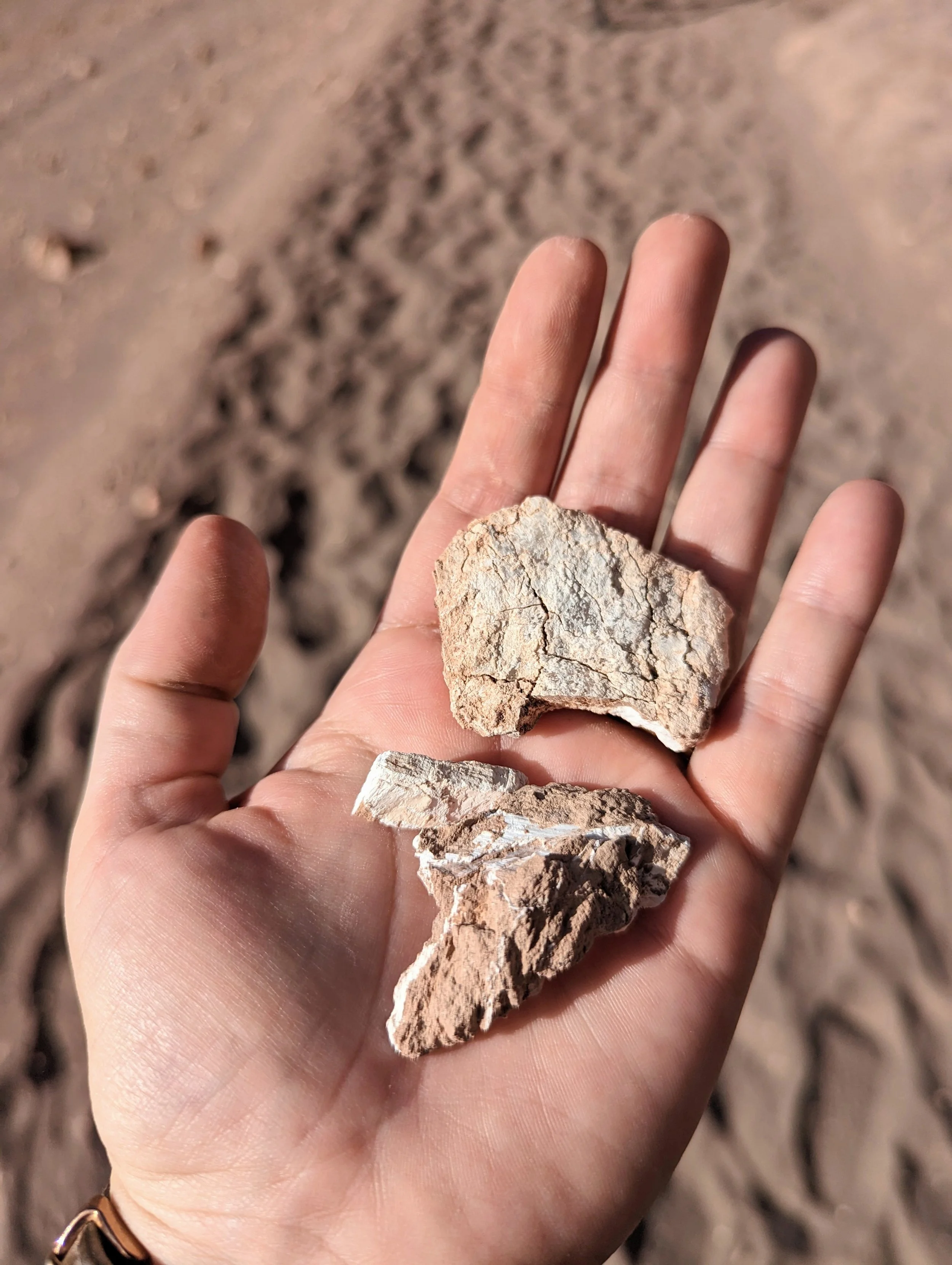 Atacama gesso 4.jpg