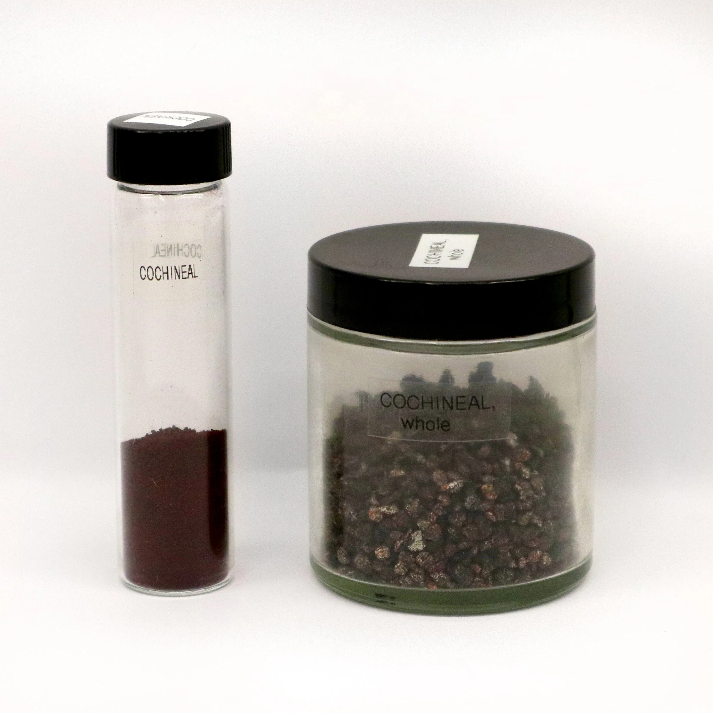 cochineal group.jpg