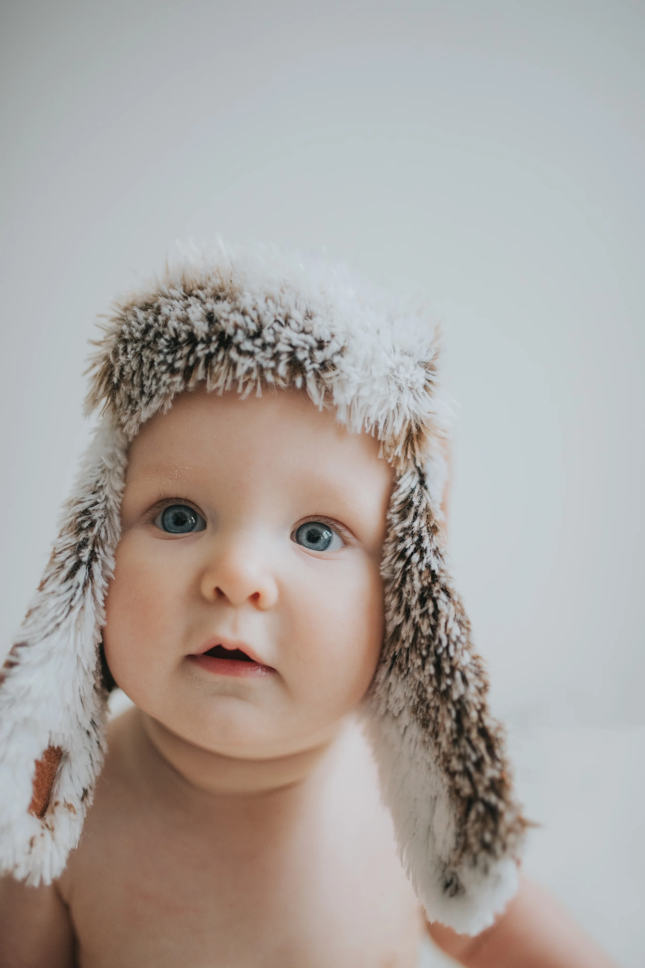 Scout 6 Months-5 Minute Lifestyle Session Coldwater Michigan 