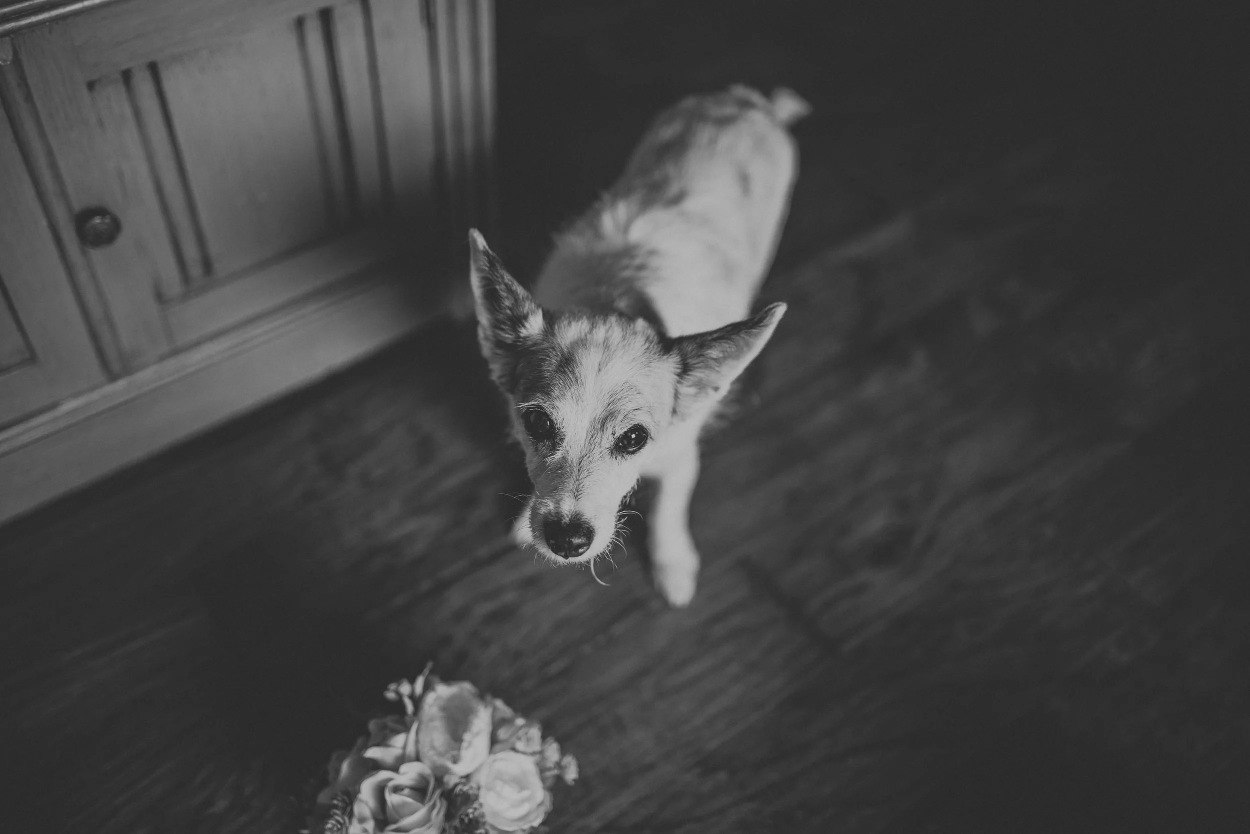Aimee Nathan Wed-edits-0030.jpg