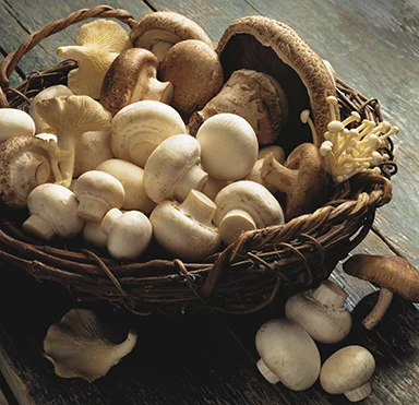 Courtesy of the Mushroom Council 