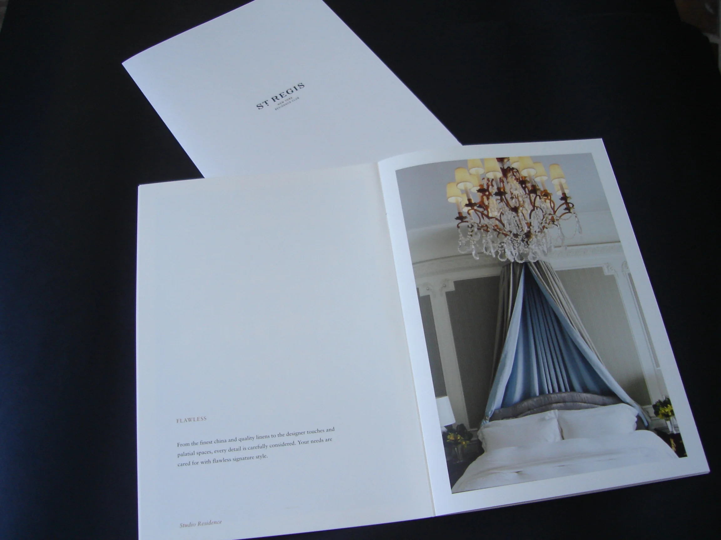 St. Regis Hotel Brochure