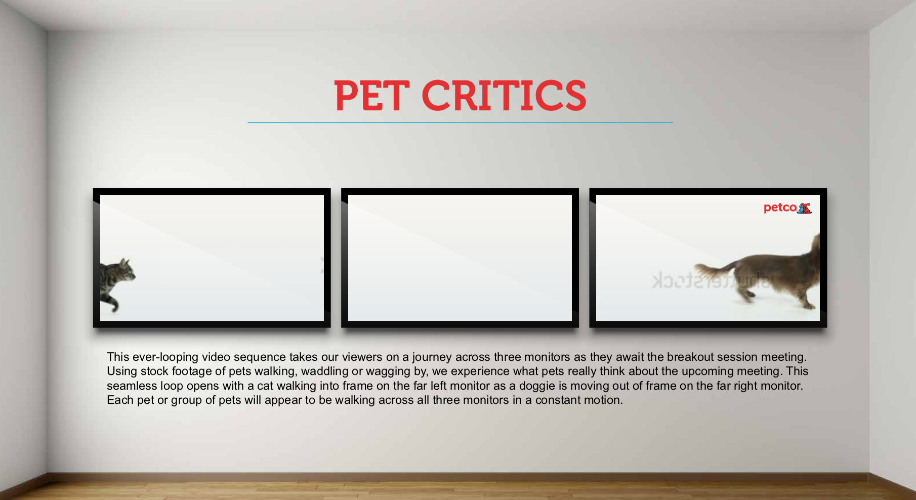 Petco Corporate Conference Video Wall