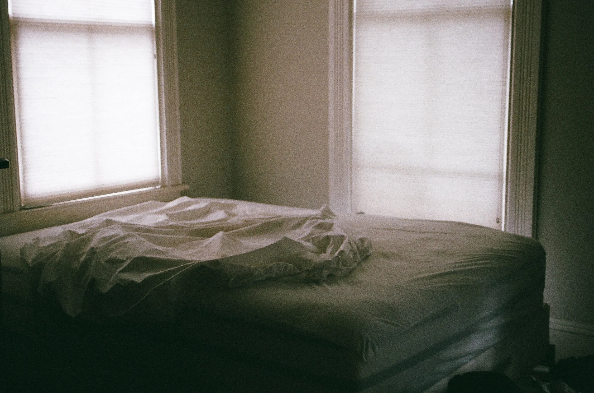 03080005 copy.jpg