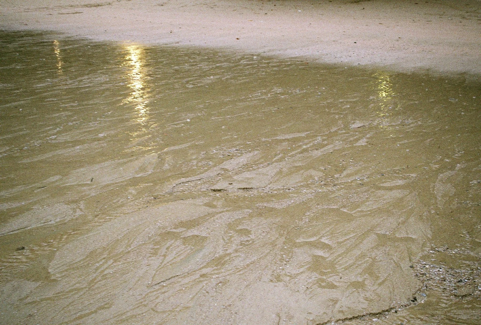 F1000044 copy.jpg