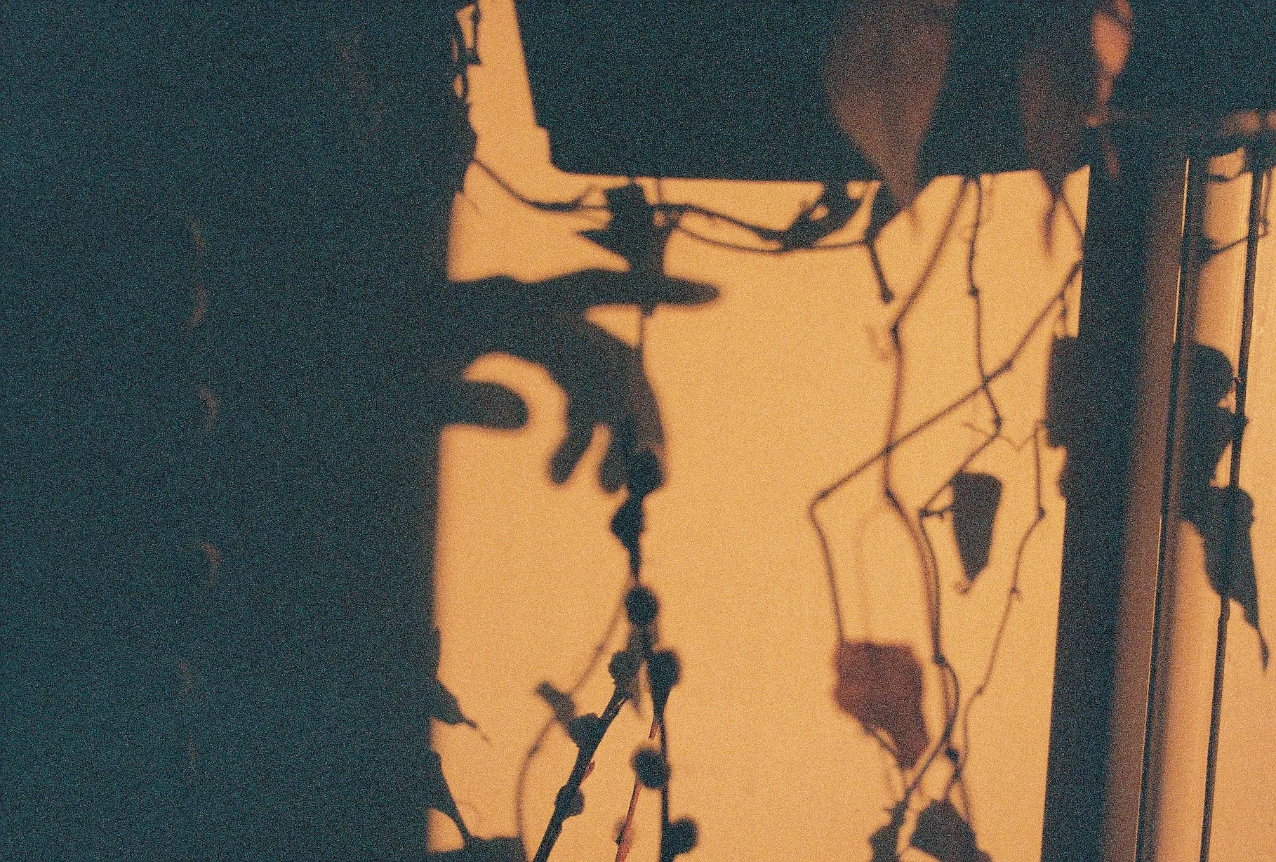 F1000018 copy.jpg