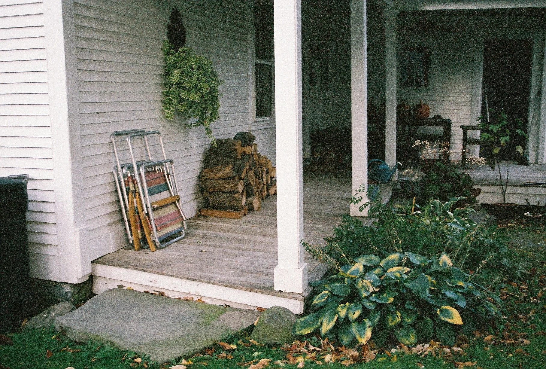 F1000007 copy 2.jpg