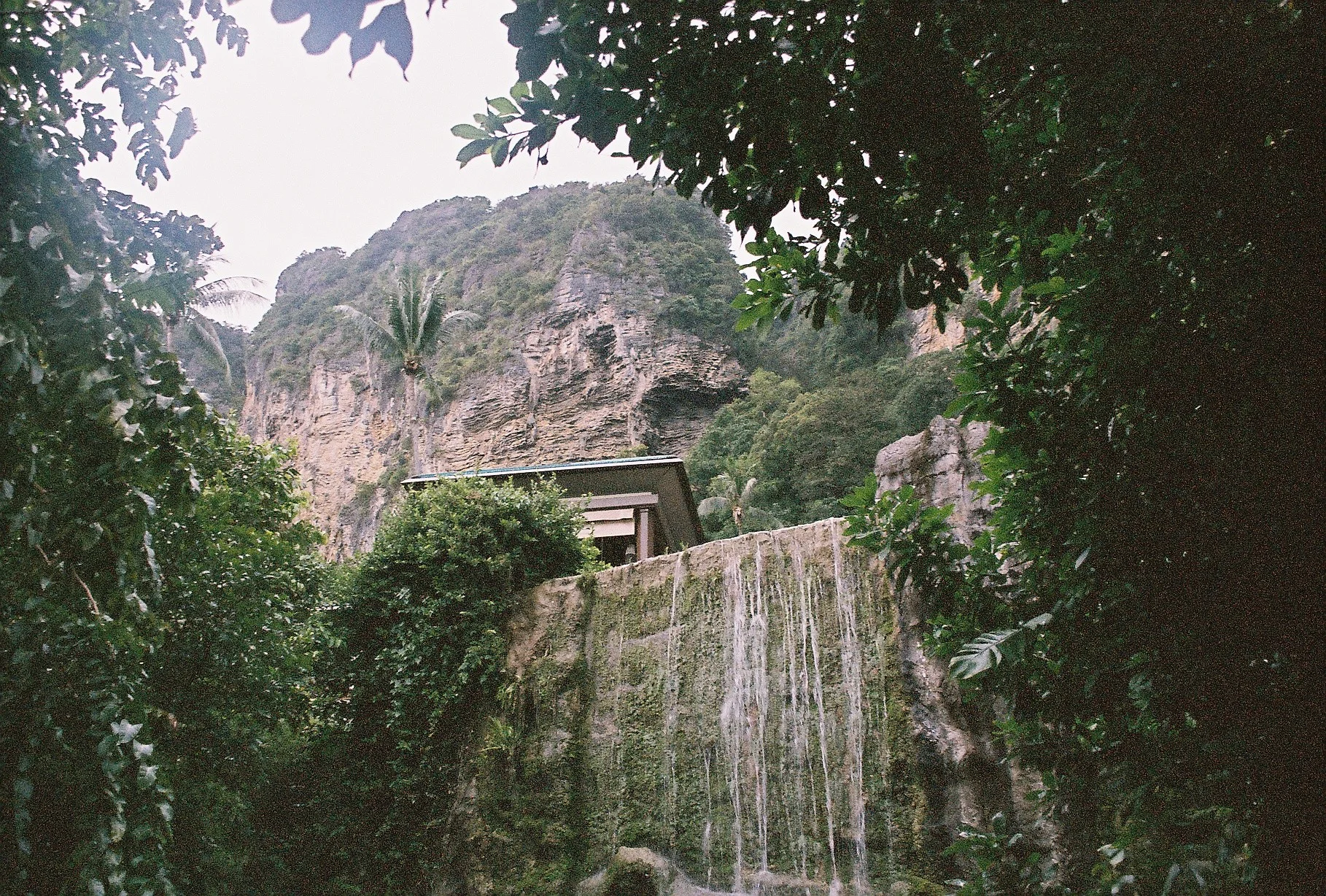 F1000028 copy.jpg