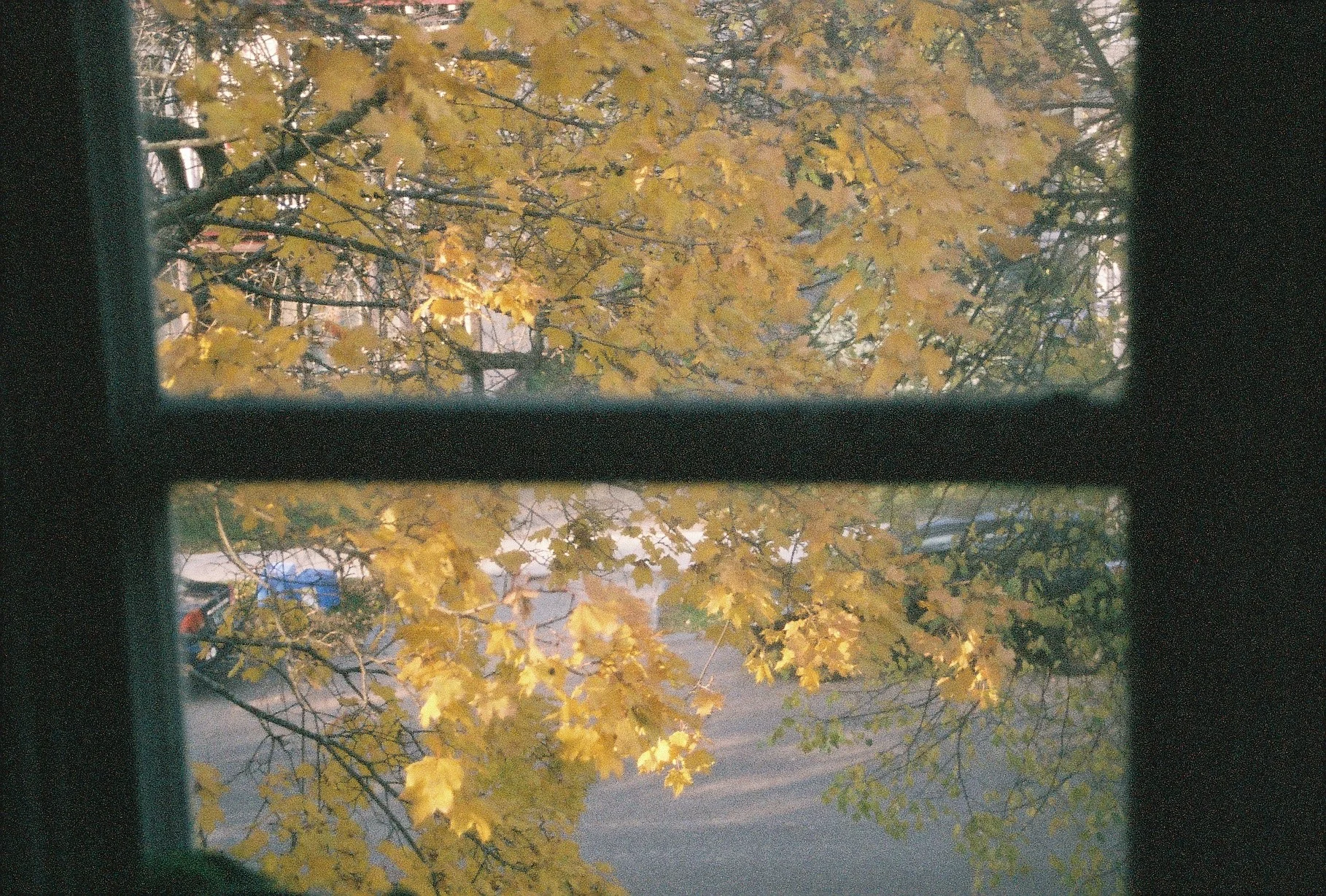 F1000010 copy.jpg