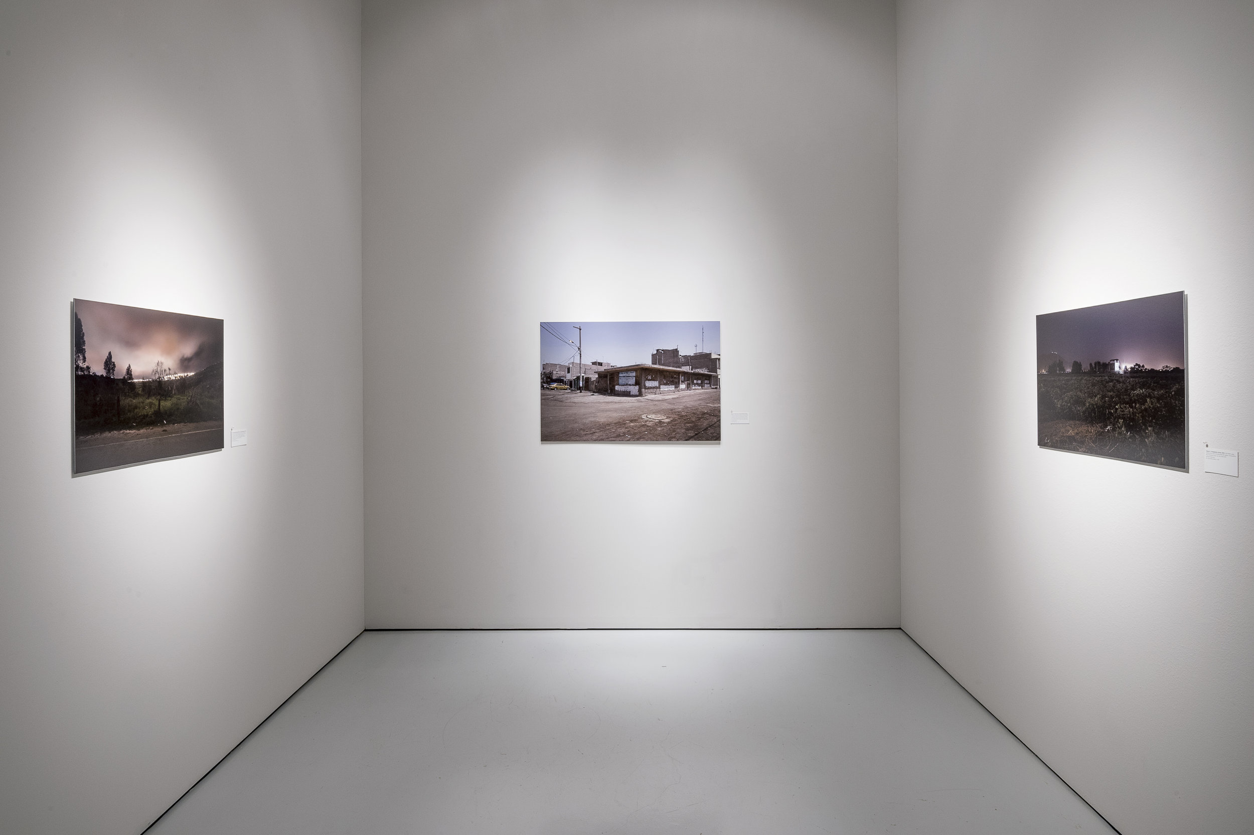 Installation view of "Canon" at the McClain Gallery, Houston, TX. (Photo Credit: Nash Baker)