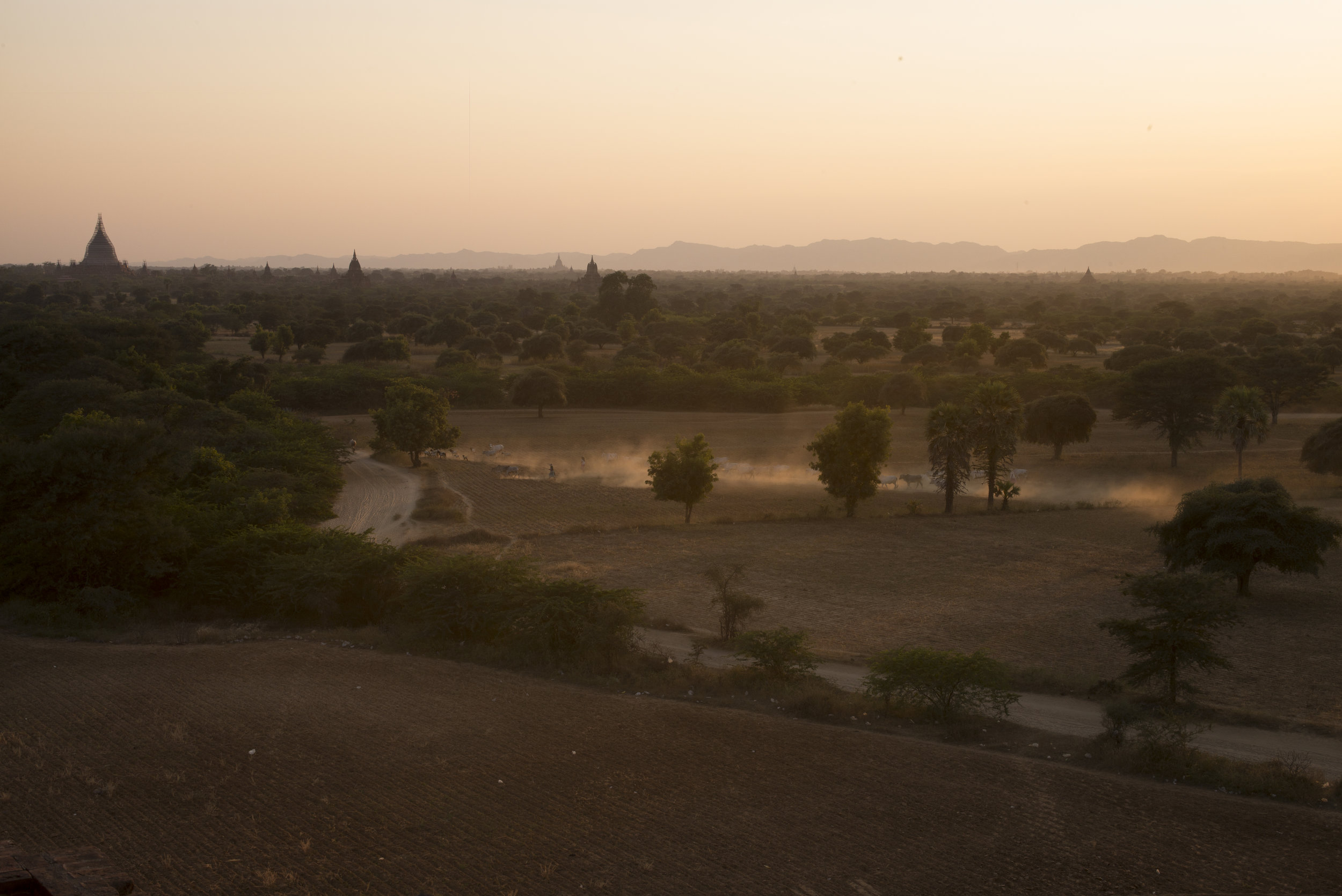 Myanmar_Img_20140116@11_59-4.jpg