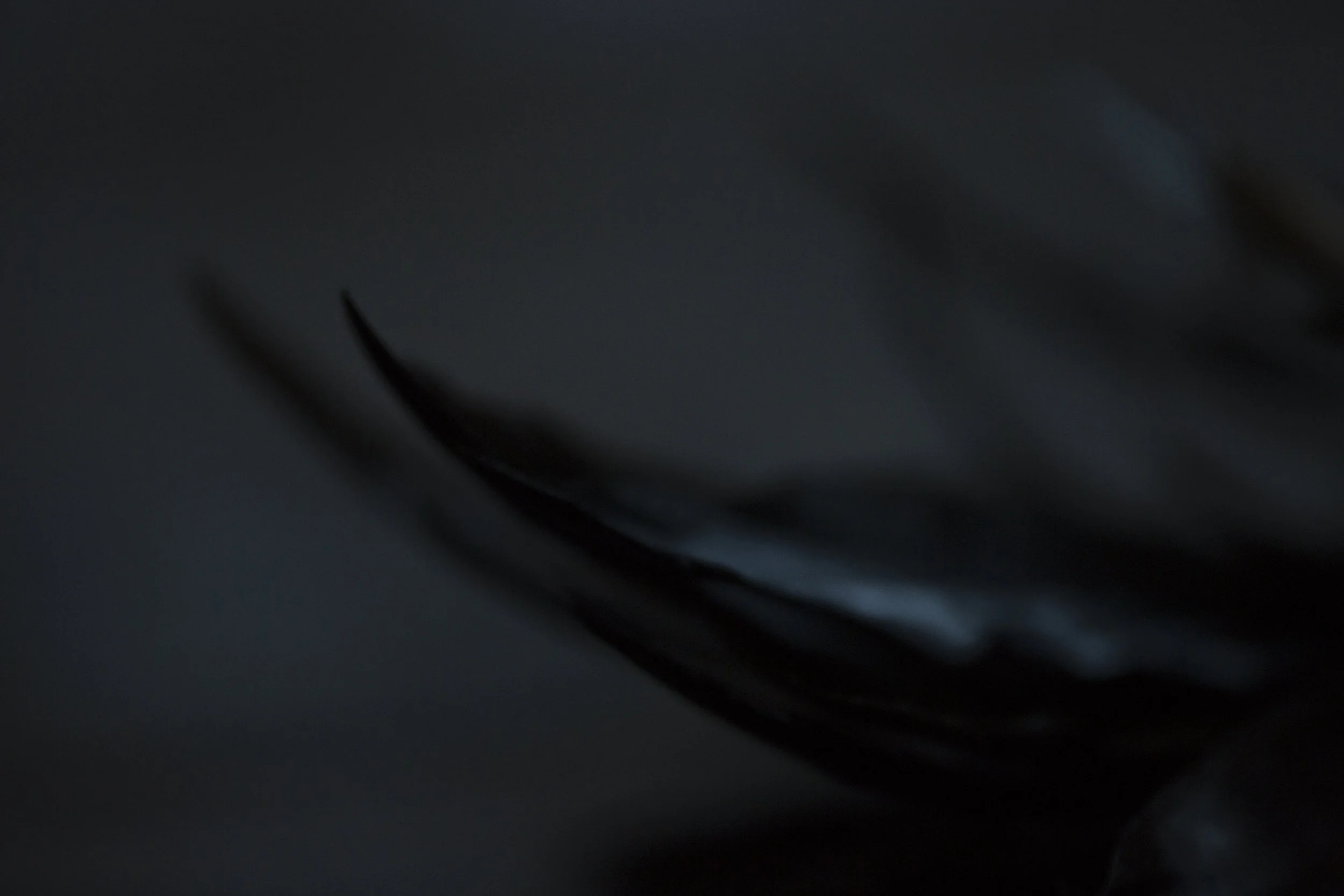 Behind_A70A3014.jpg