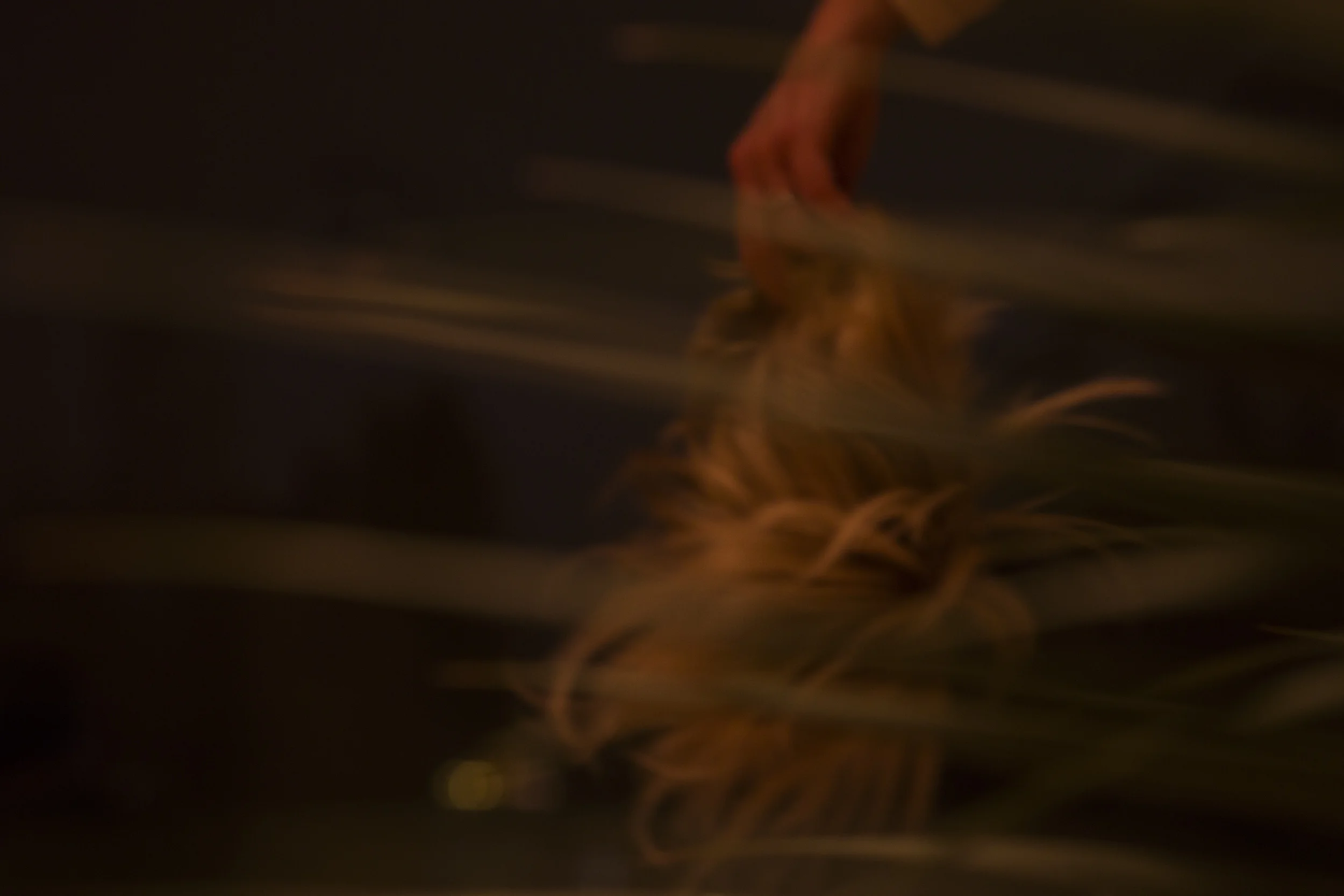 Behind_A70A4466.jpg