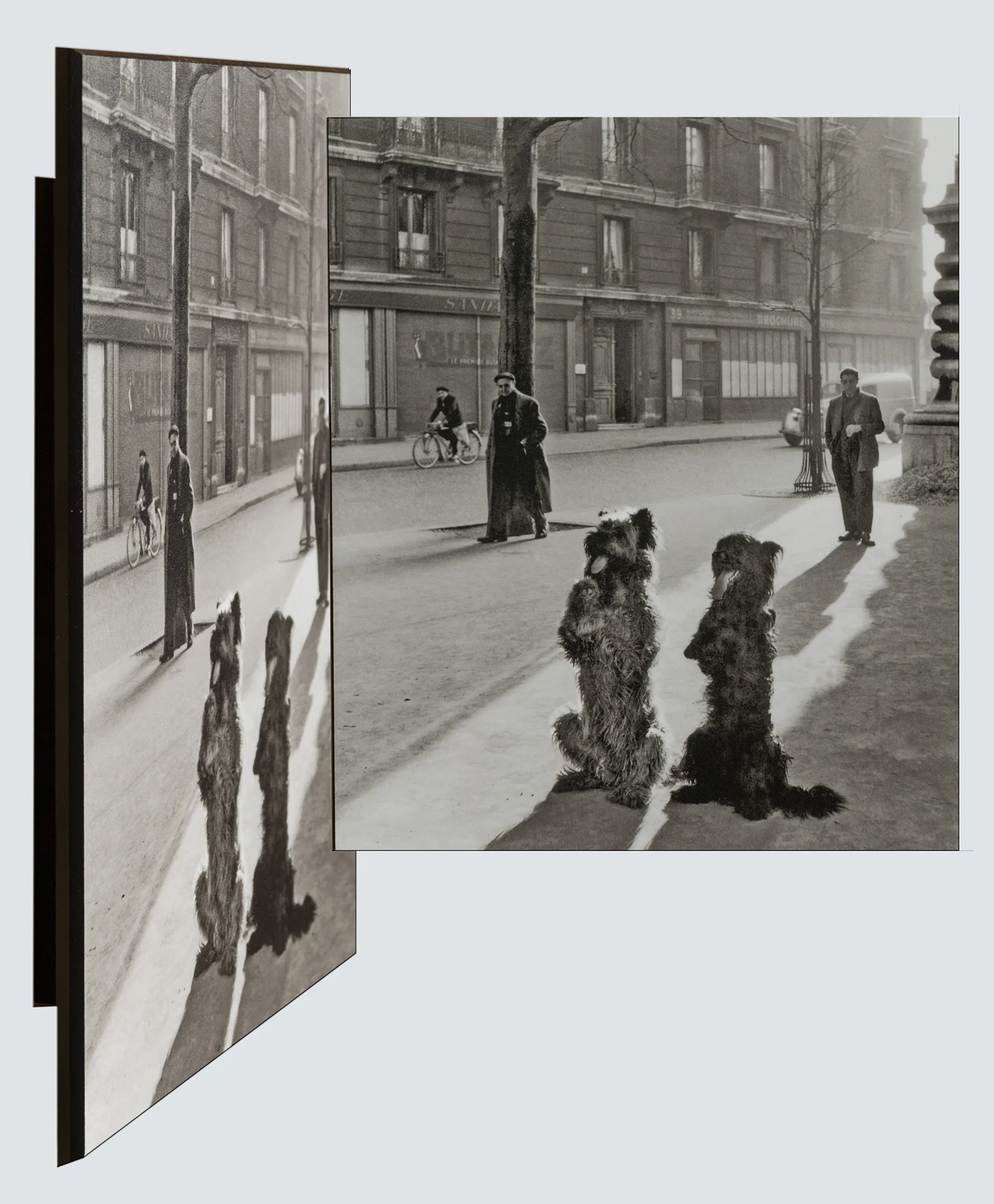 float mounted style of plaque mount framing-dogs on New York street