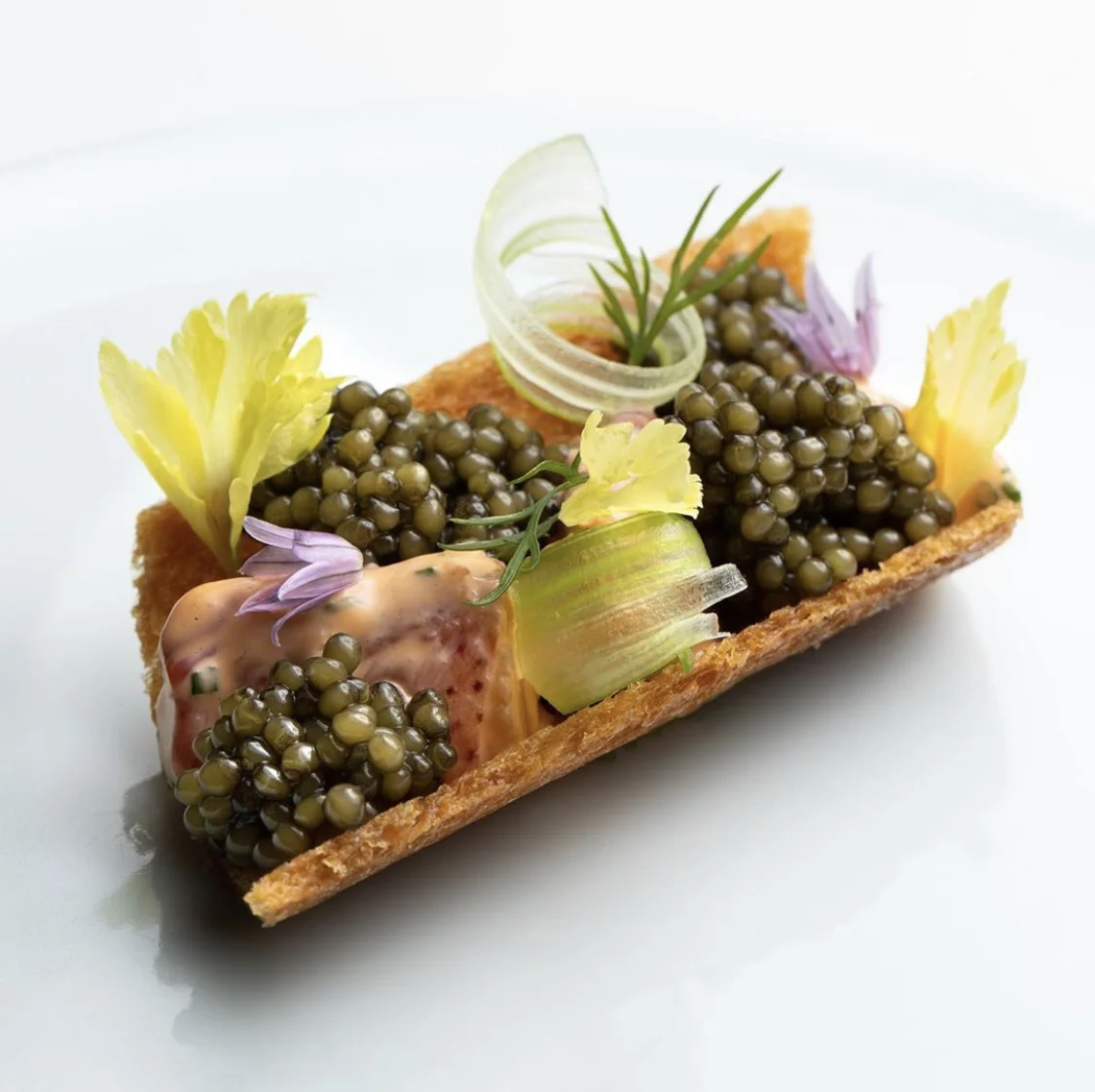 Foodies &amp; Fashionistas: Use Your Natural Inclinations to Diet Better For Your Personality Type