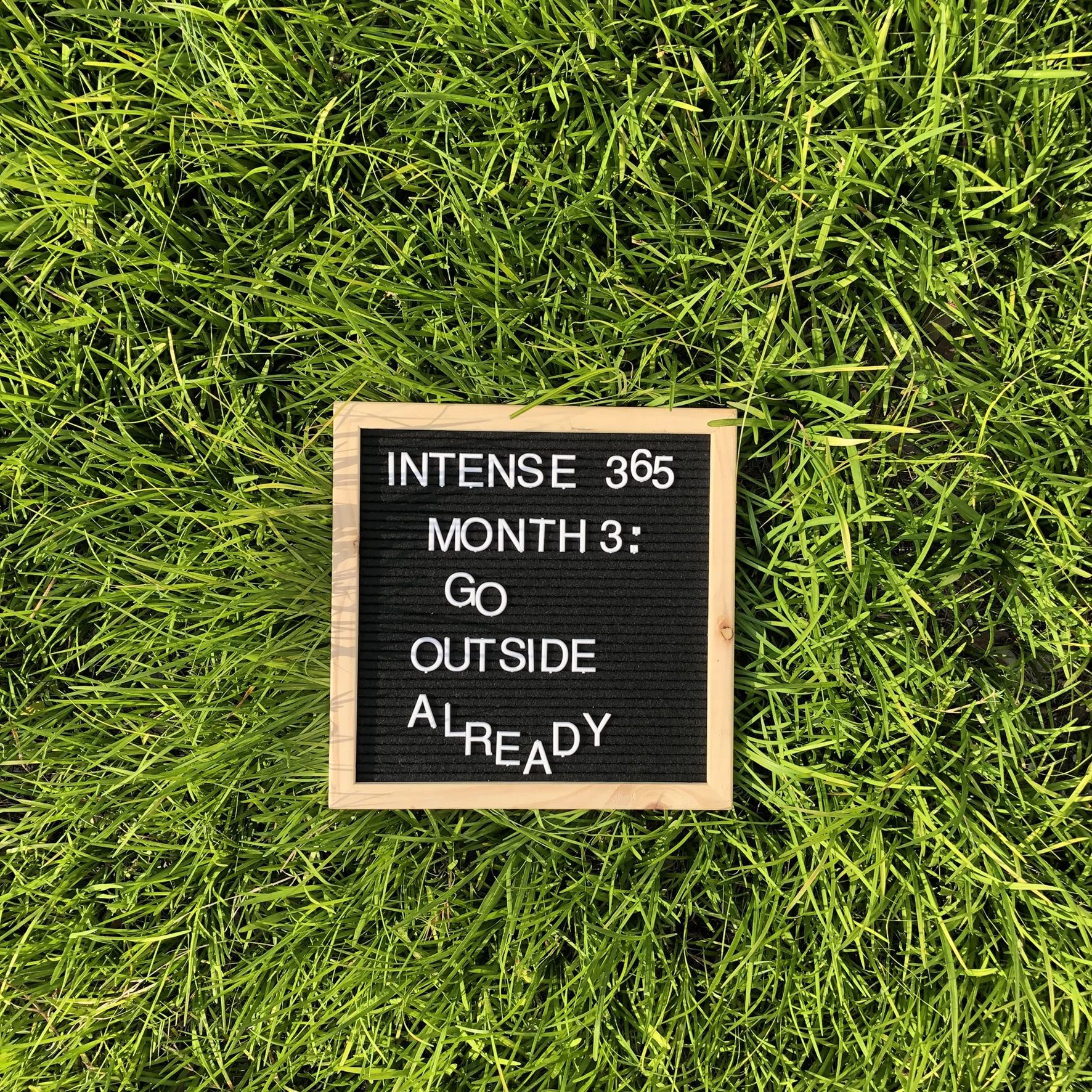 Intense 365 Month 3: Go Outside Already