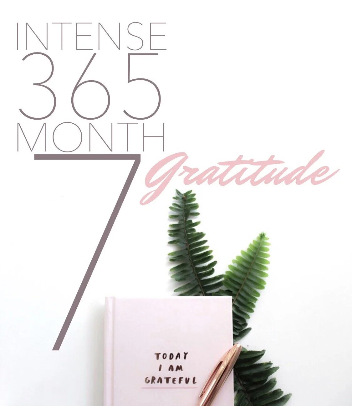 INTENSE 365 MONTH 7: Grateful Much? (3 min Should do it) 