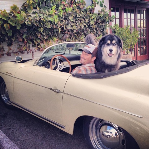 Photo of Pete Burnham with Lama from Lama Dog’s website.