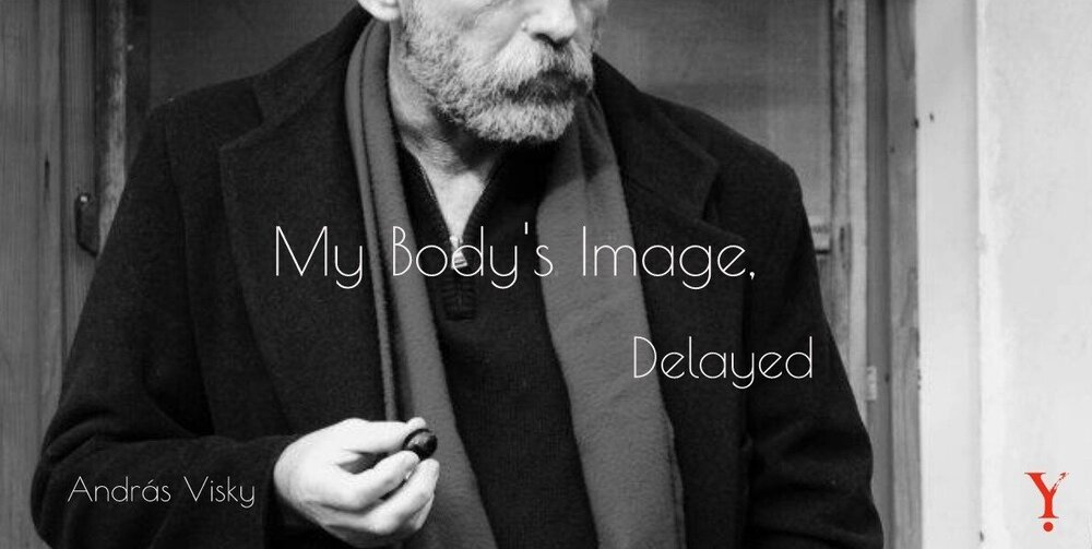 My Body's Image, Delayed (2020)