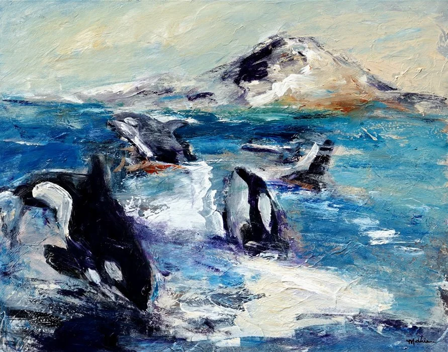 π΄ "Orca Play Date"