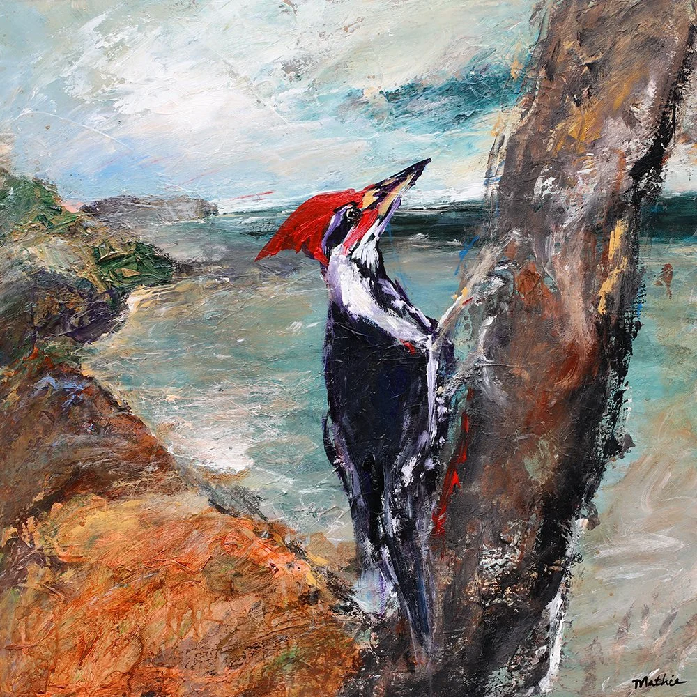 "Pileated Woodpecker"