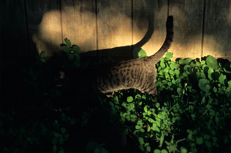 Photo by Kat Dalton