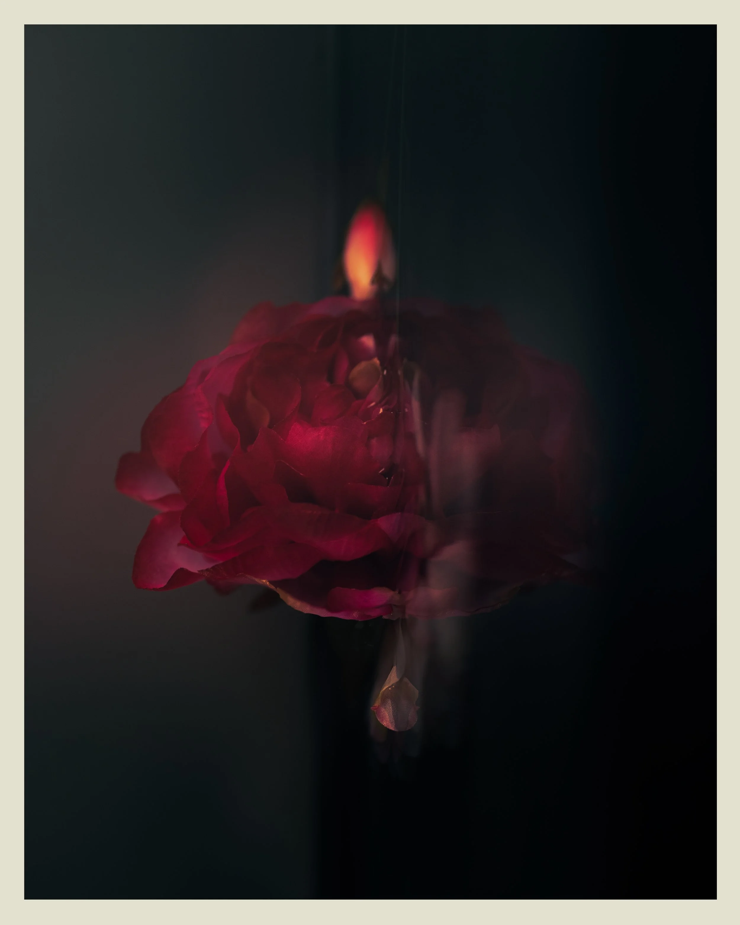 flower2 2.jpg