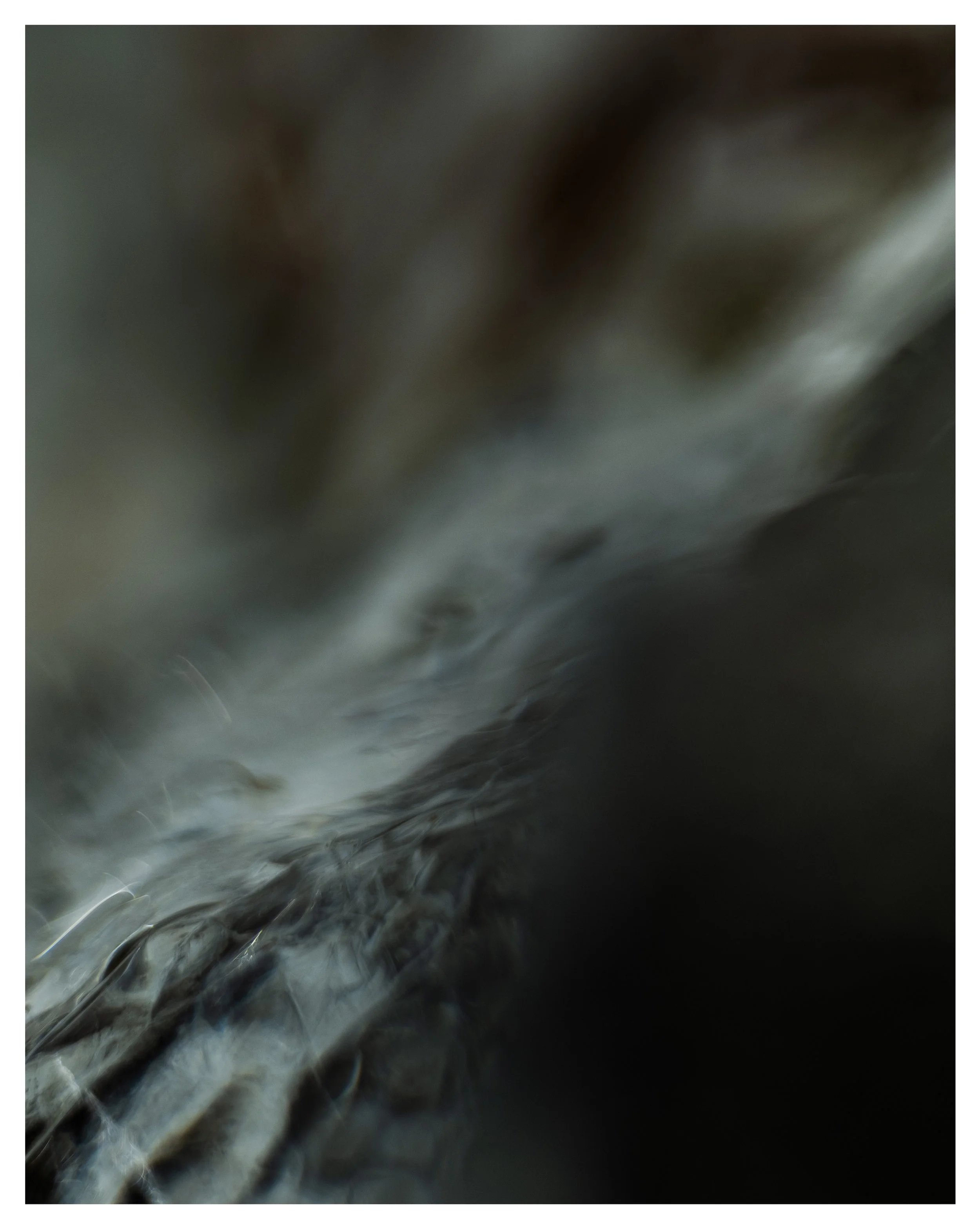 paint1.jpg