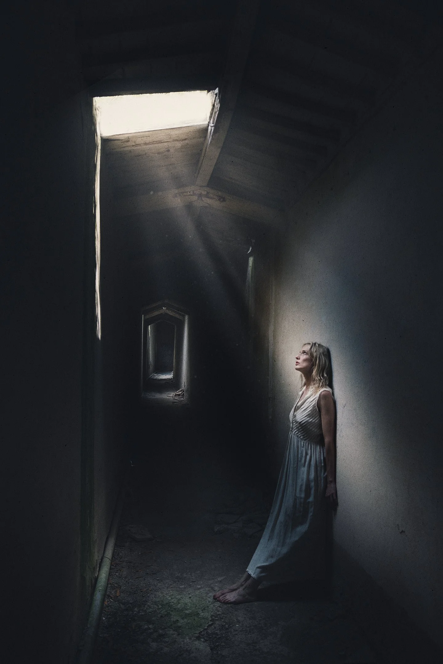 sarah light sbertoli small.jpg