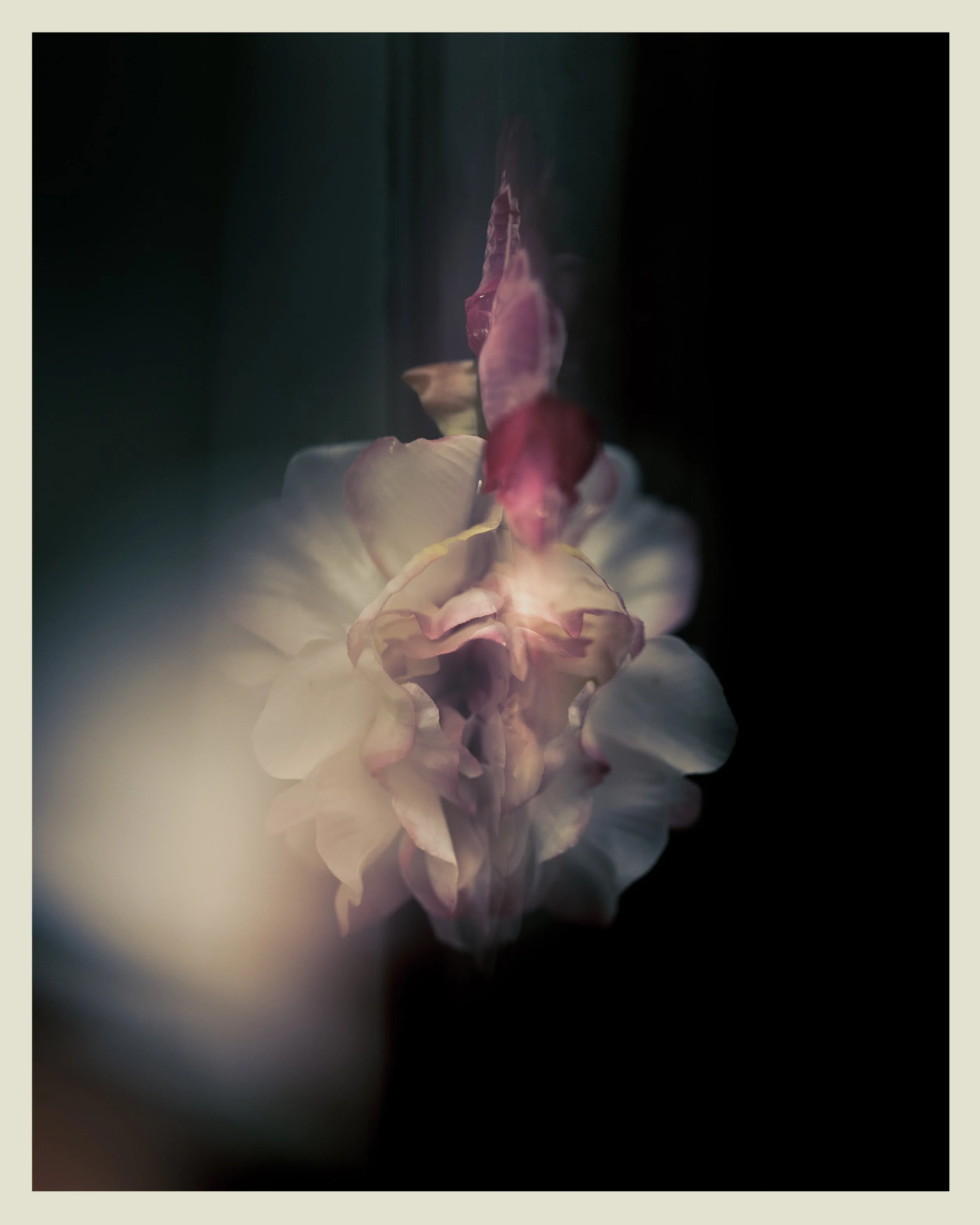 flower3.jpg