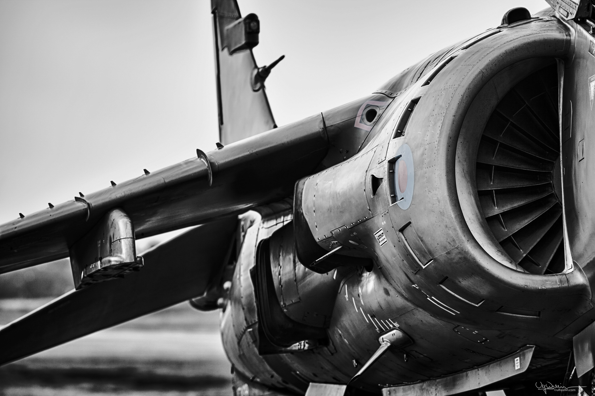 FA2 - Sea Harrier