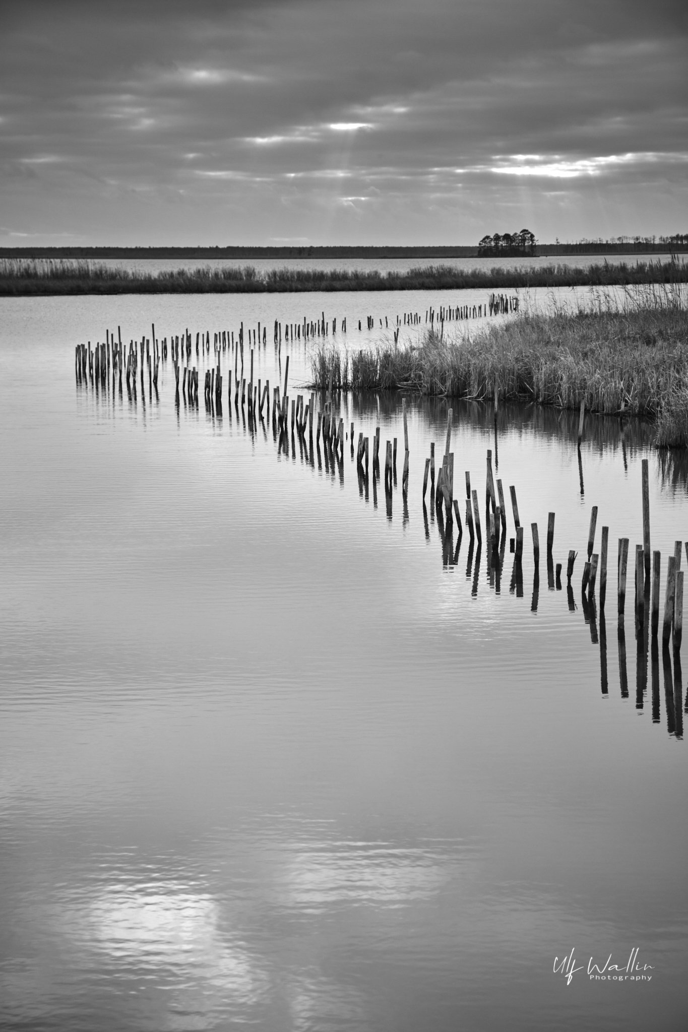 Blackwater National Wildlife Refuge