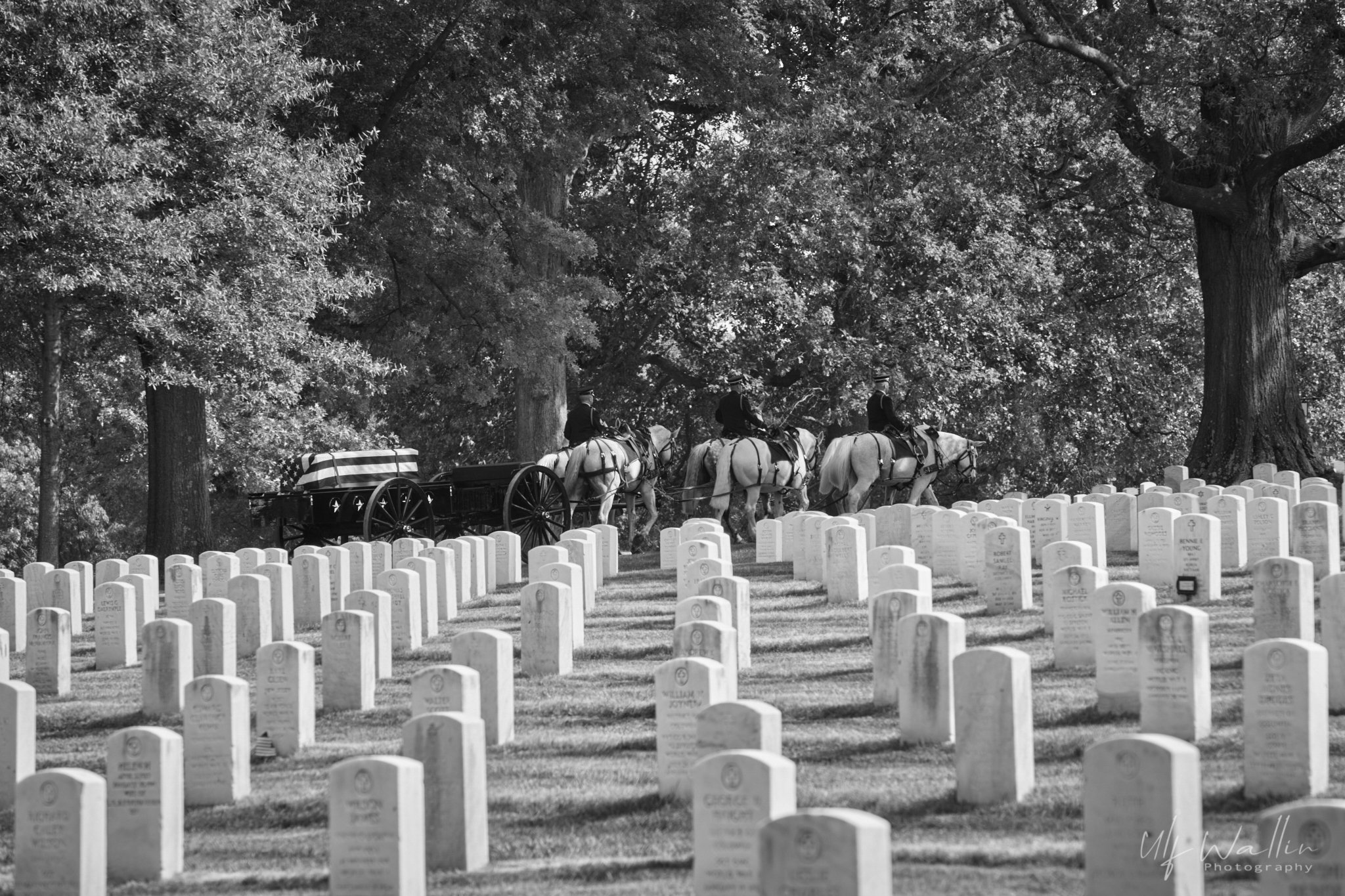 Military Funeral With Honor Guard