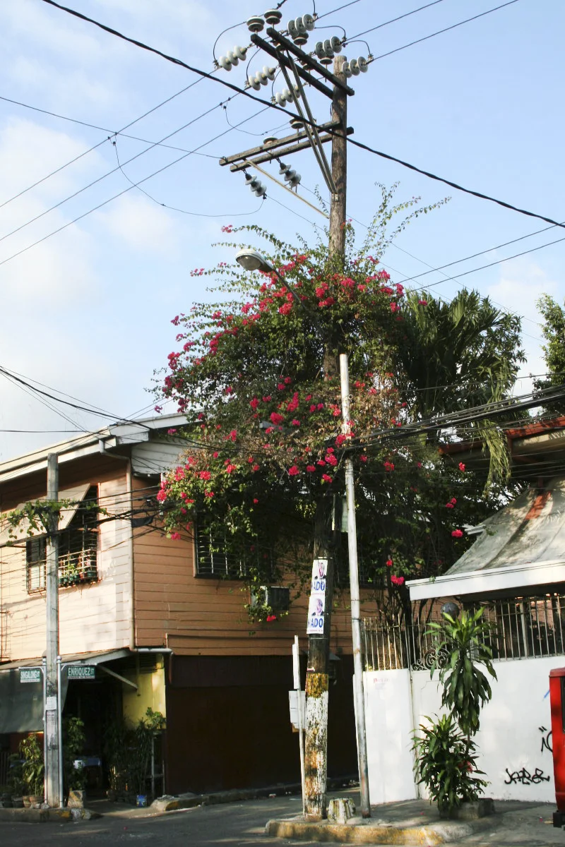 2006-02-21 (149).JPG