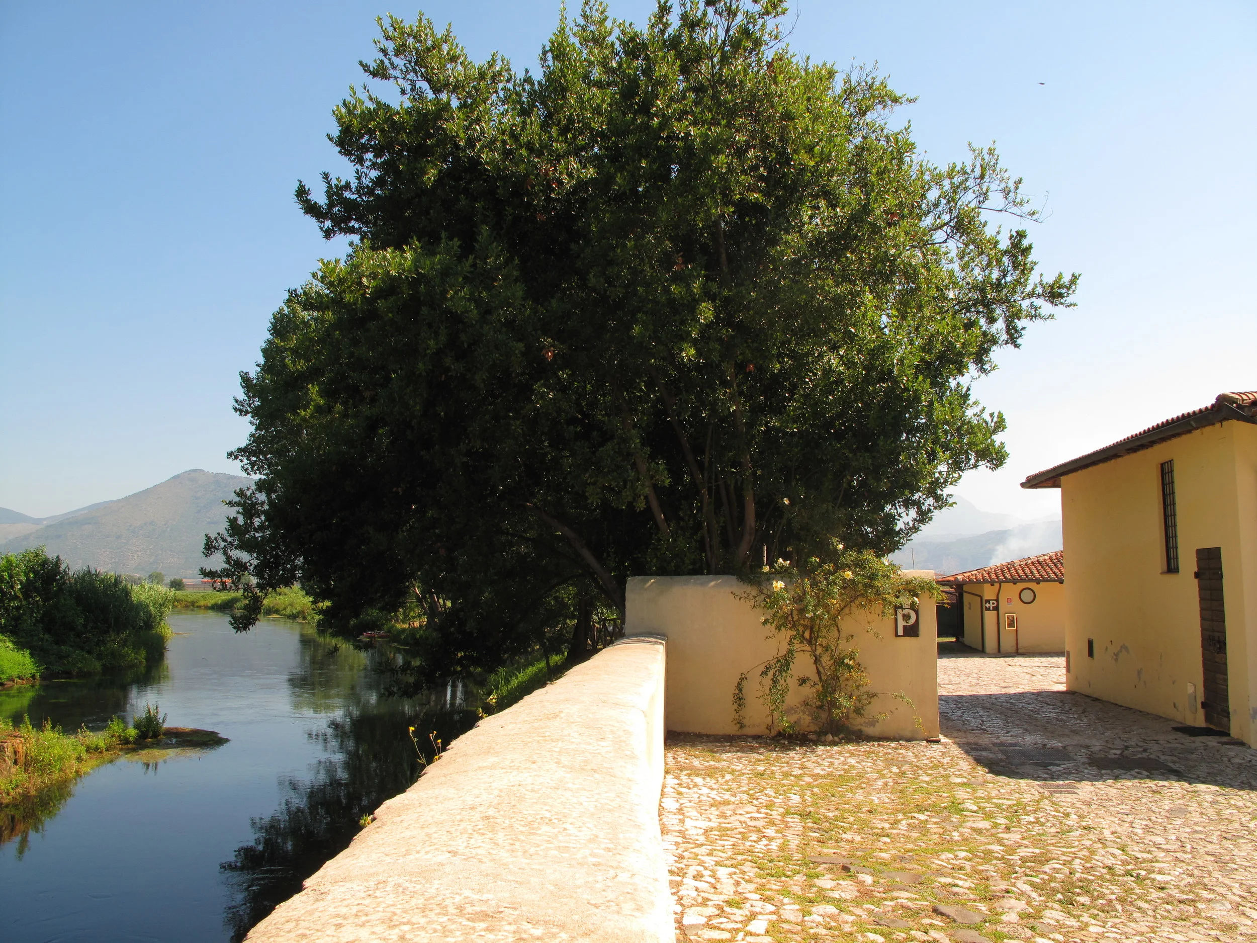 2009-07-12 (2).JPG