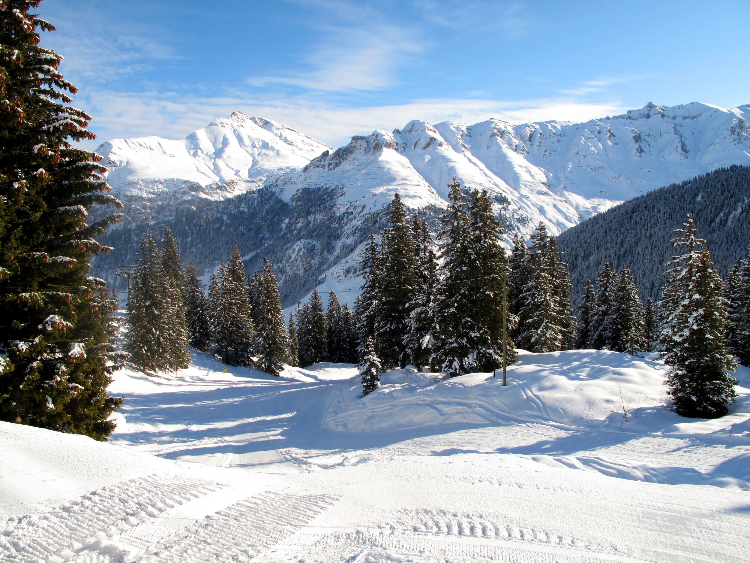 2010-01-11 (13).JPG