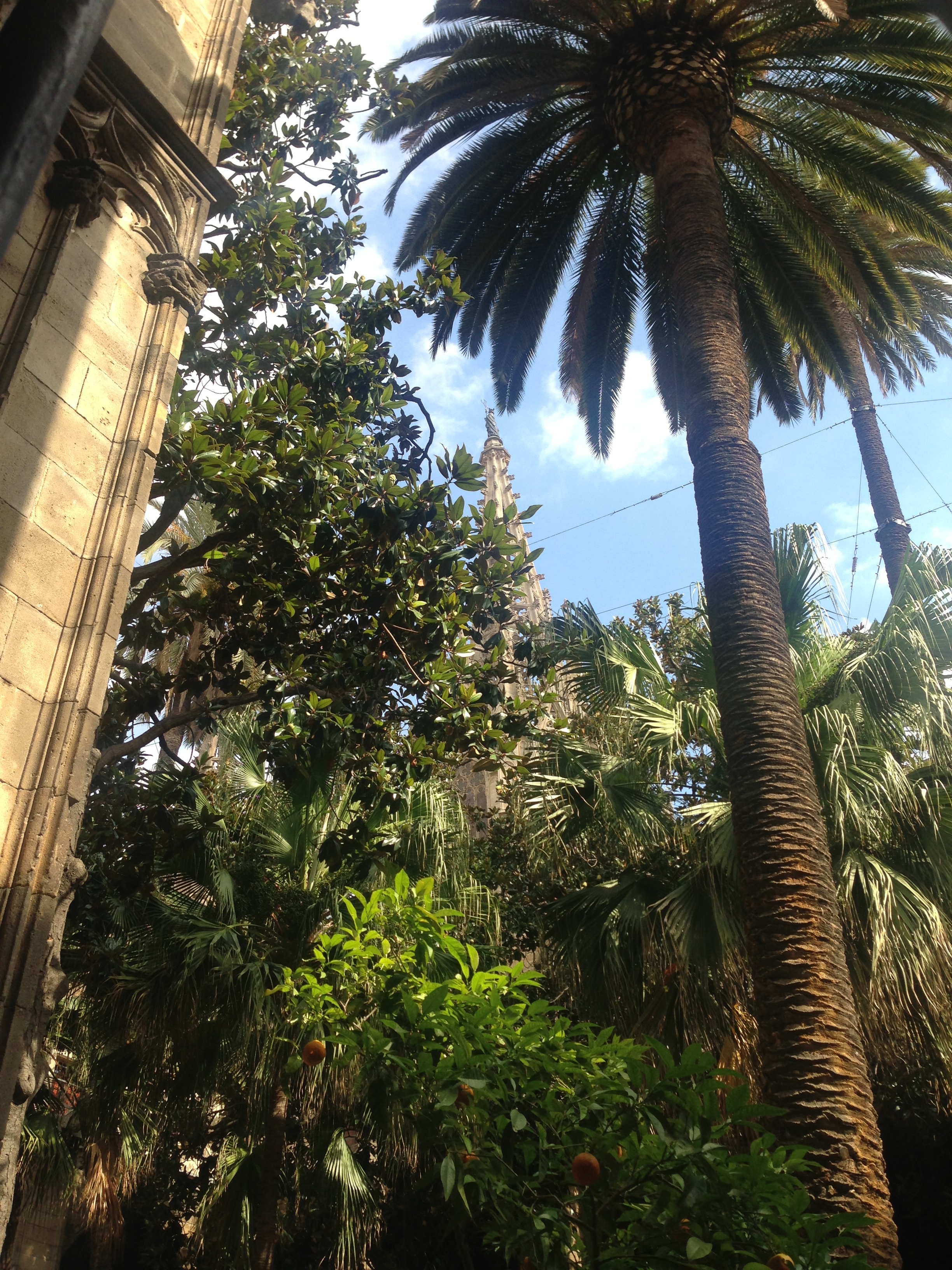  Vanessa Badziong, quick capture 