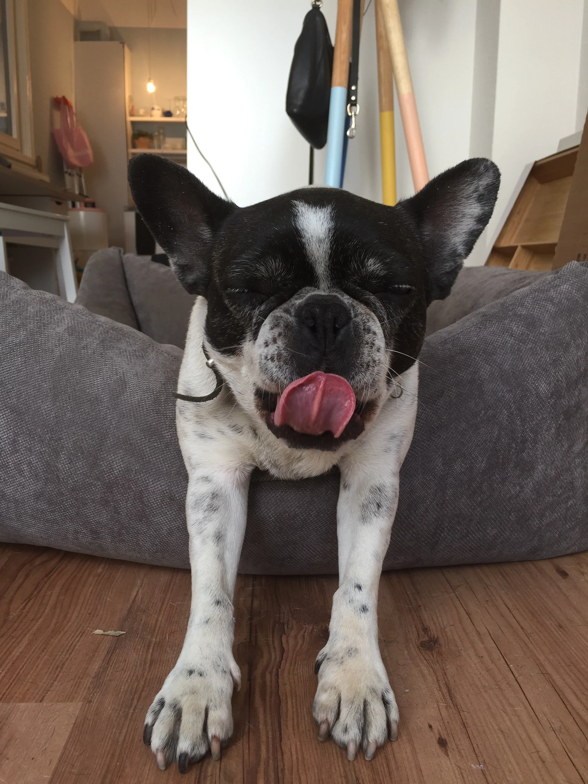  Vanessa Badziong, quick capture 