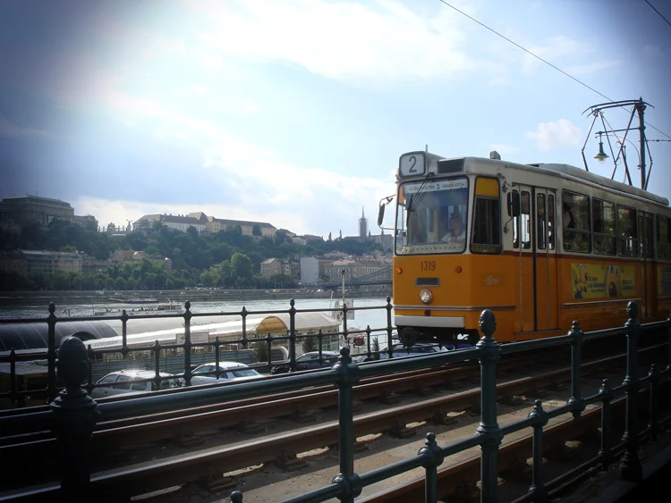 DSC09045.jpg
