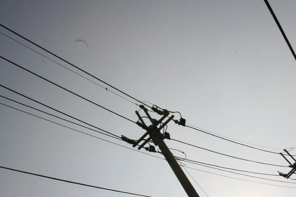 2007-02-27 (101).JPG