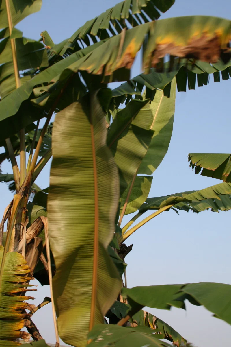 2007-02-27 (102).JPG