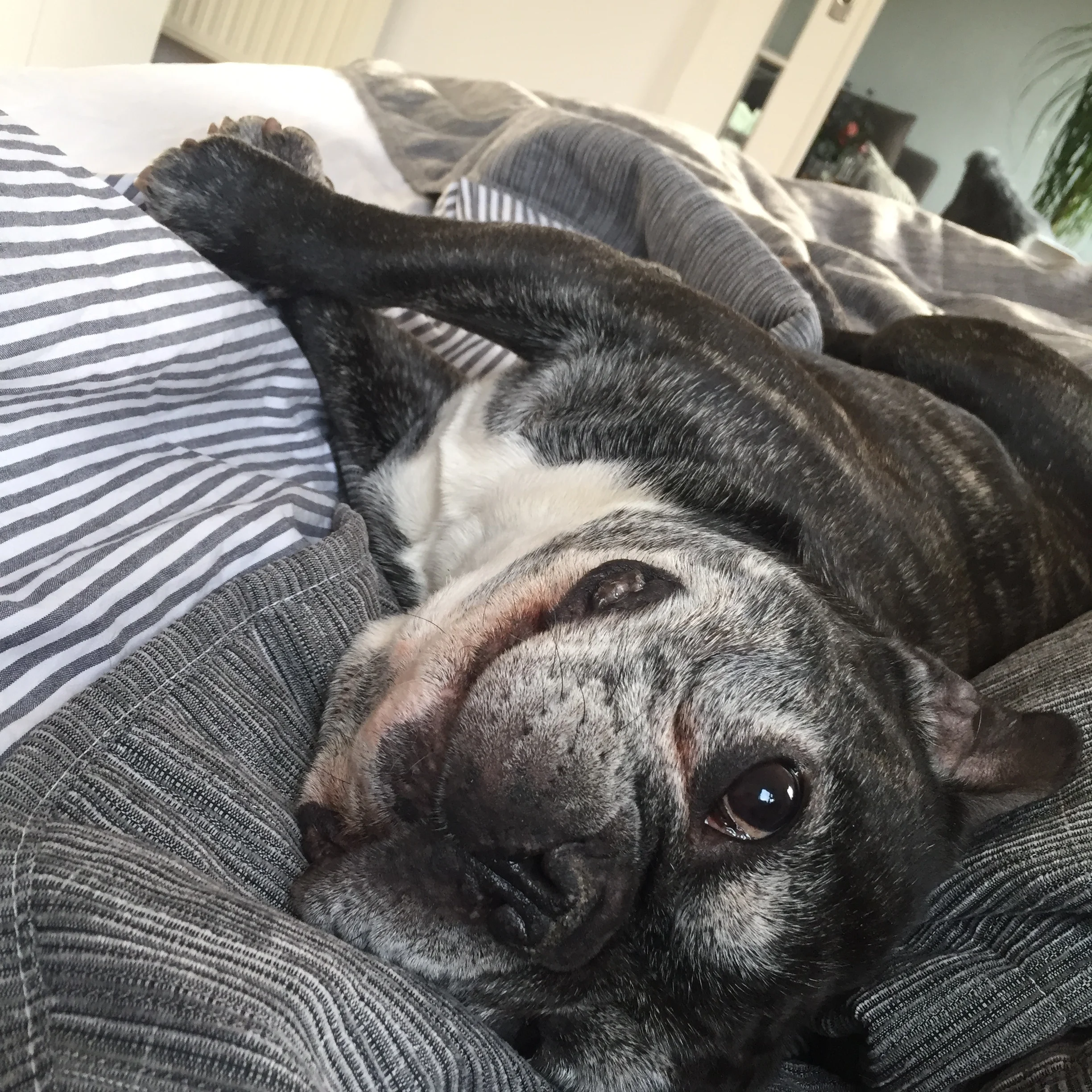  Vanessa Badziong, quick capture 