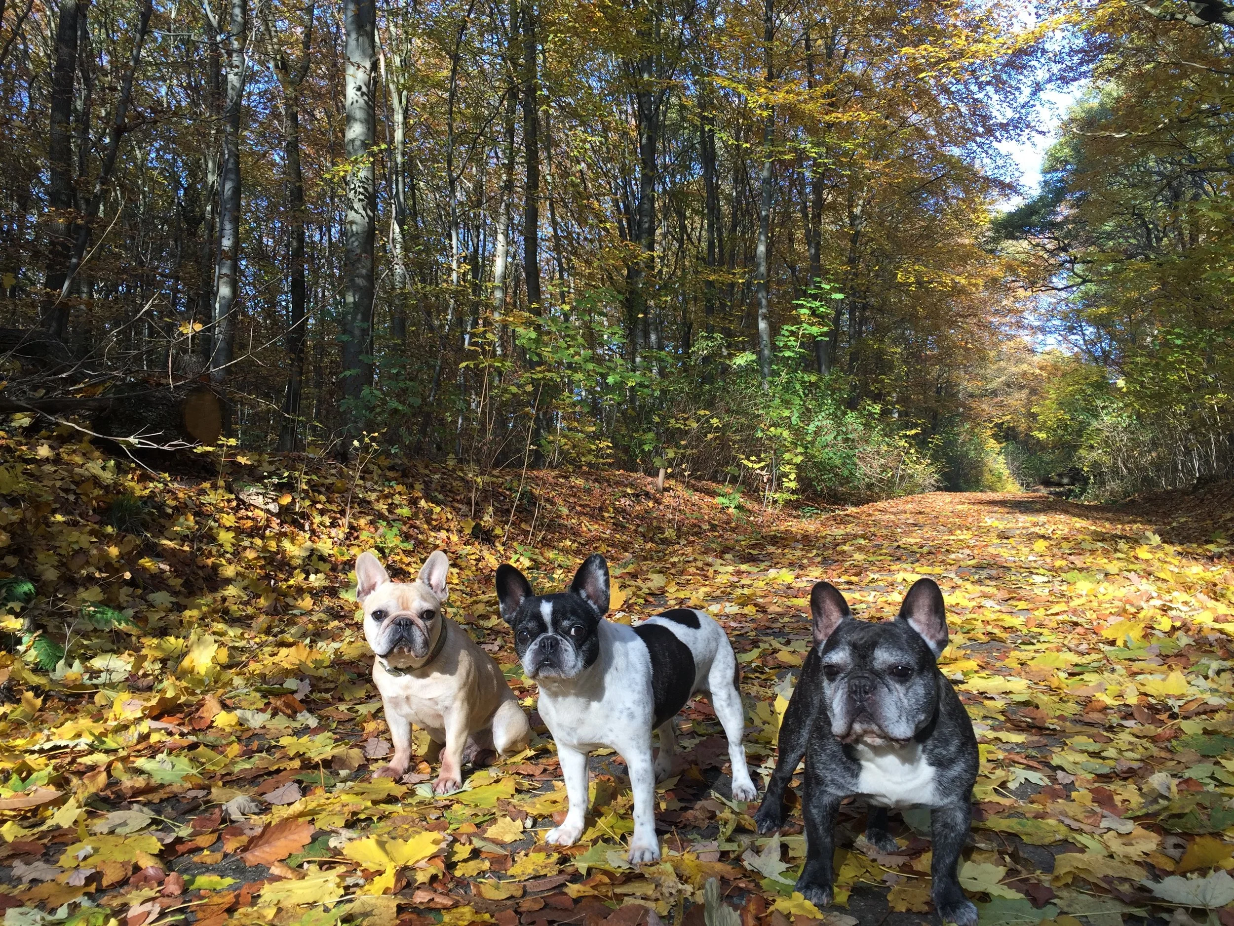  Vanessa Badziong, quick capture 