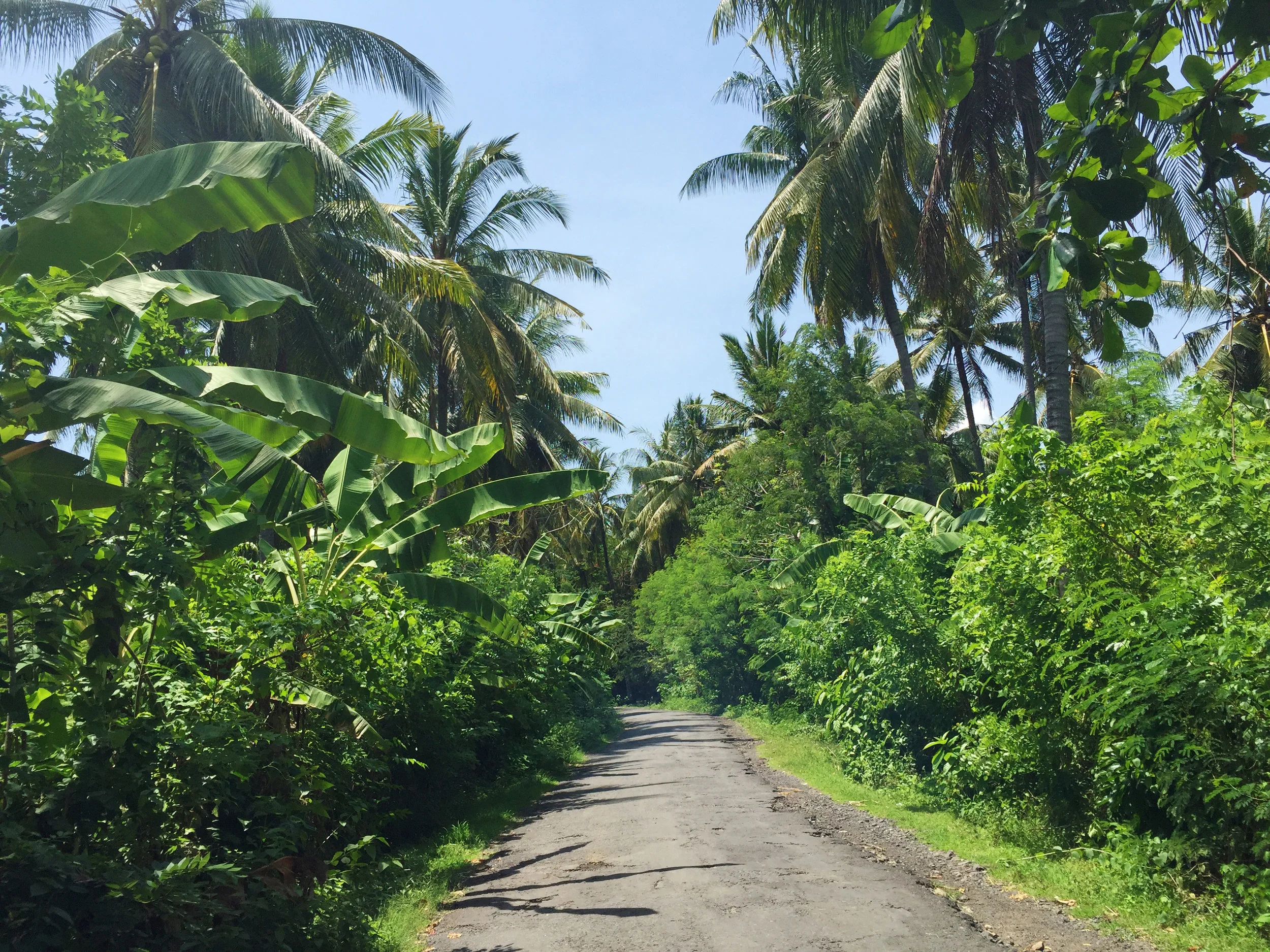  Vanessa Badziong, quick capture 