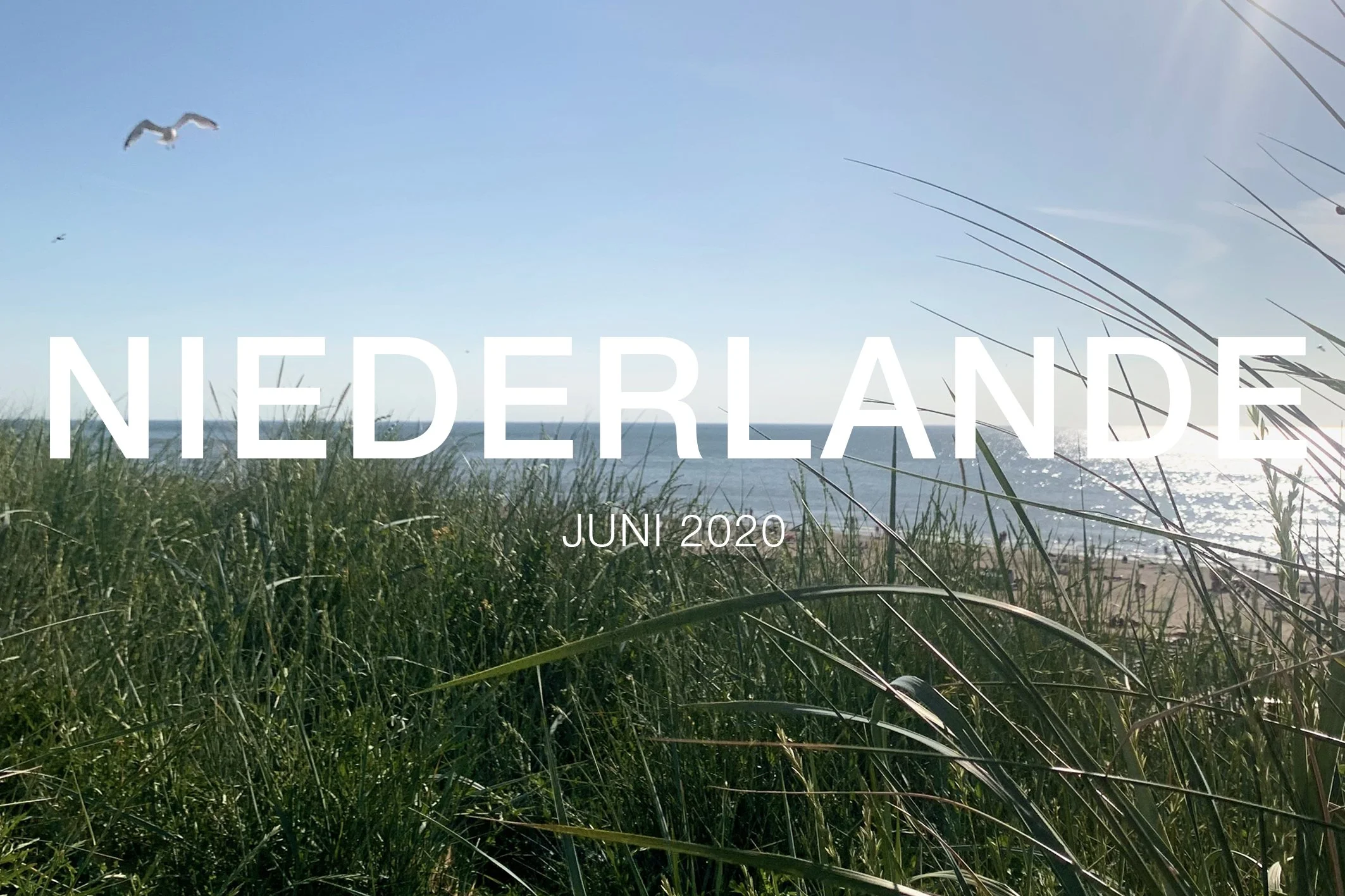 2020-06-niederlande.jpg