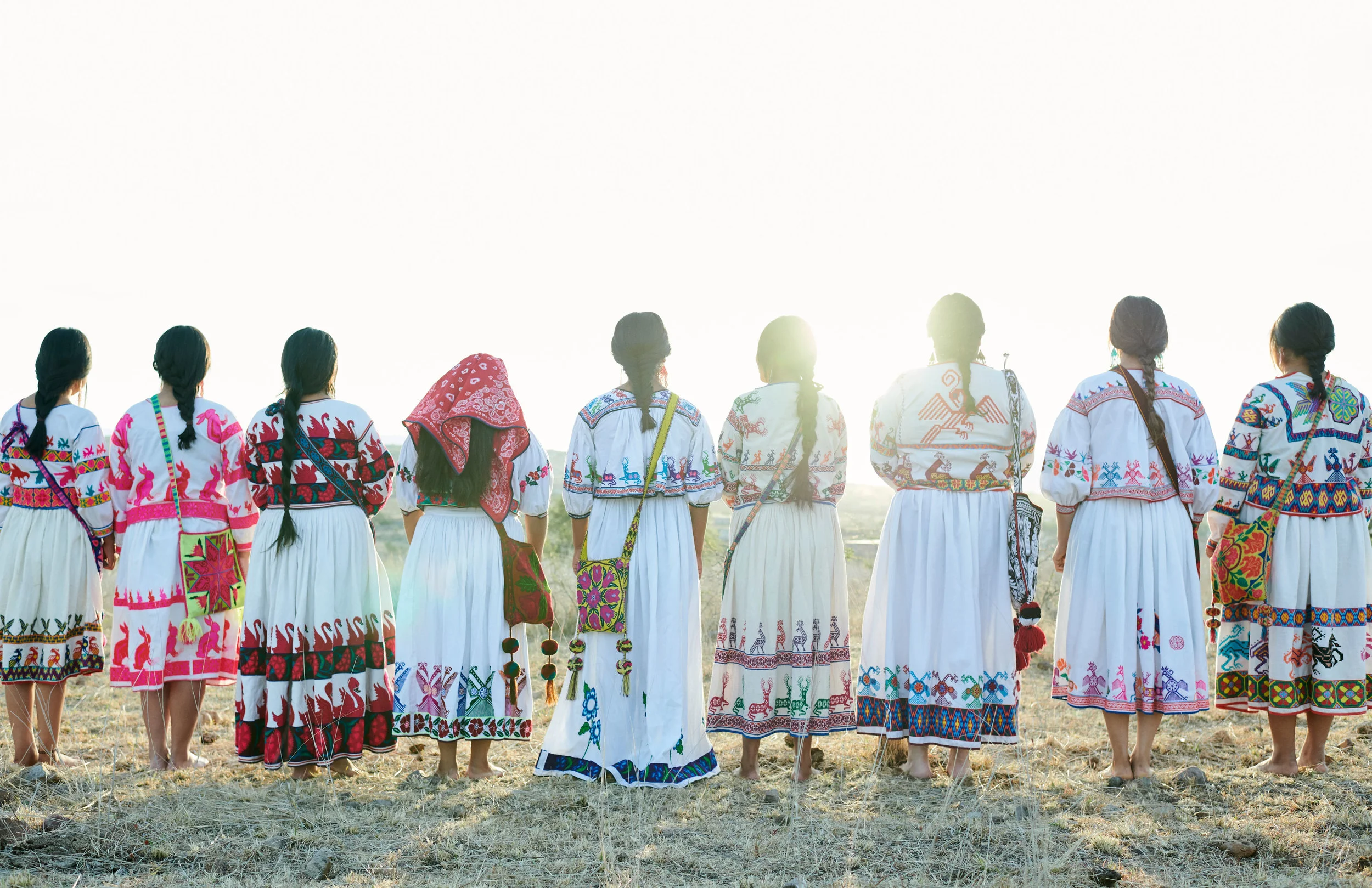 Field_Morning_430.jpg