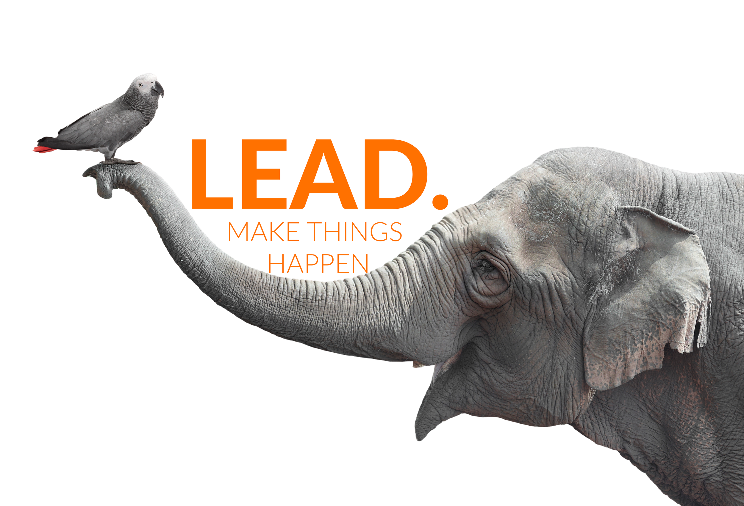 LEAD1A.png
