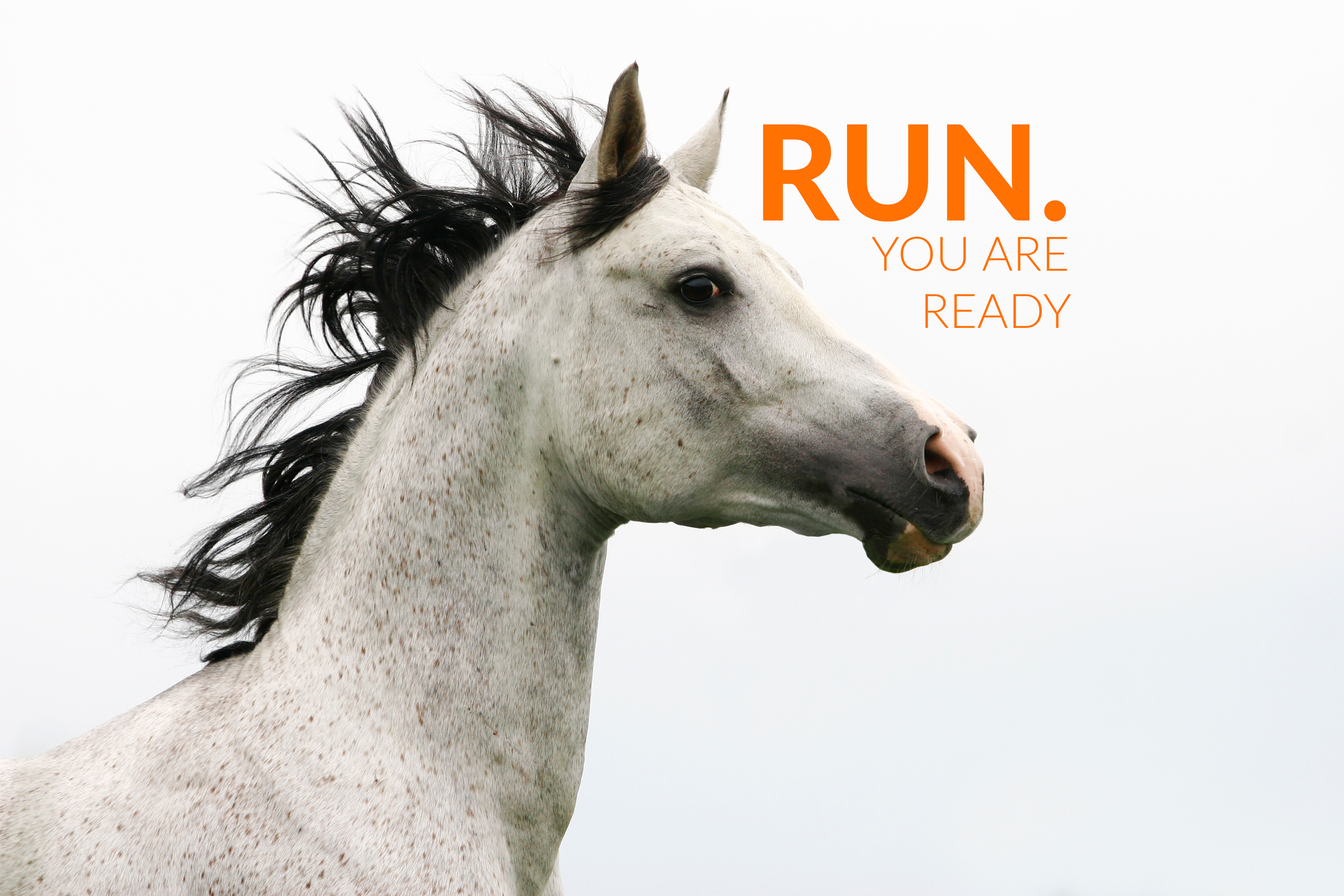 RUN1A.png