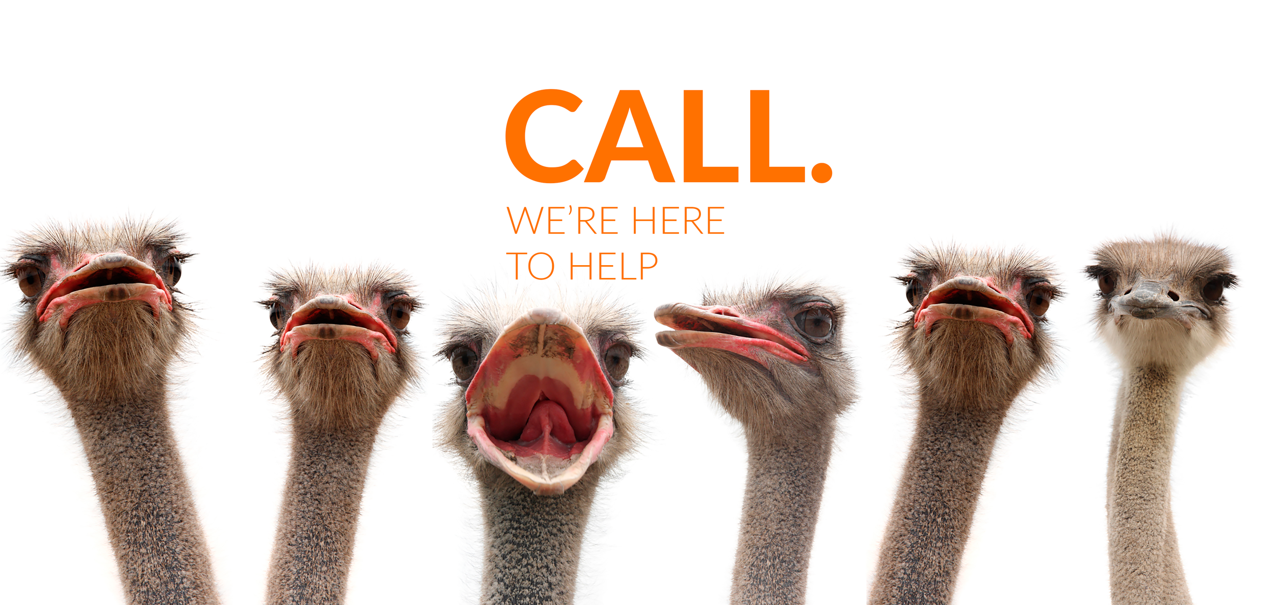 CALL1A.png