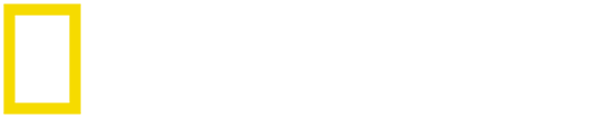 Artboard 1.png